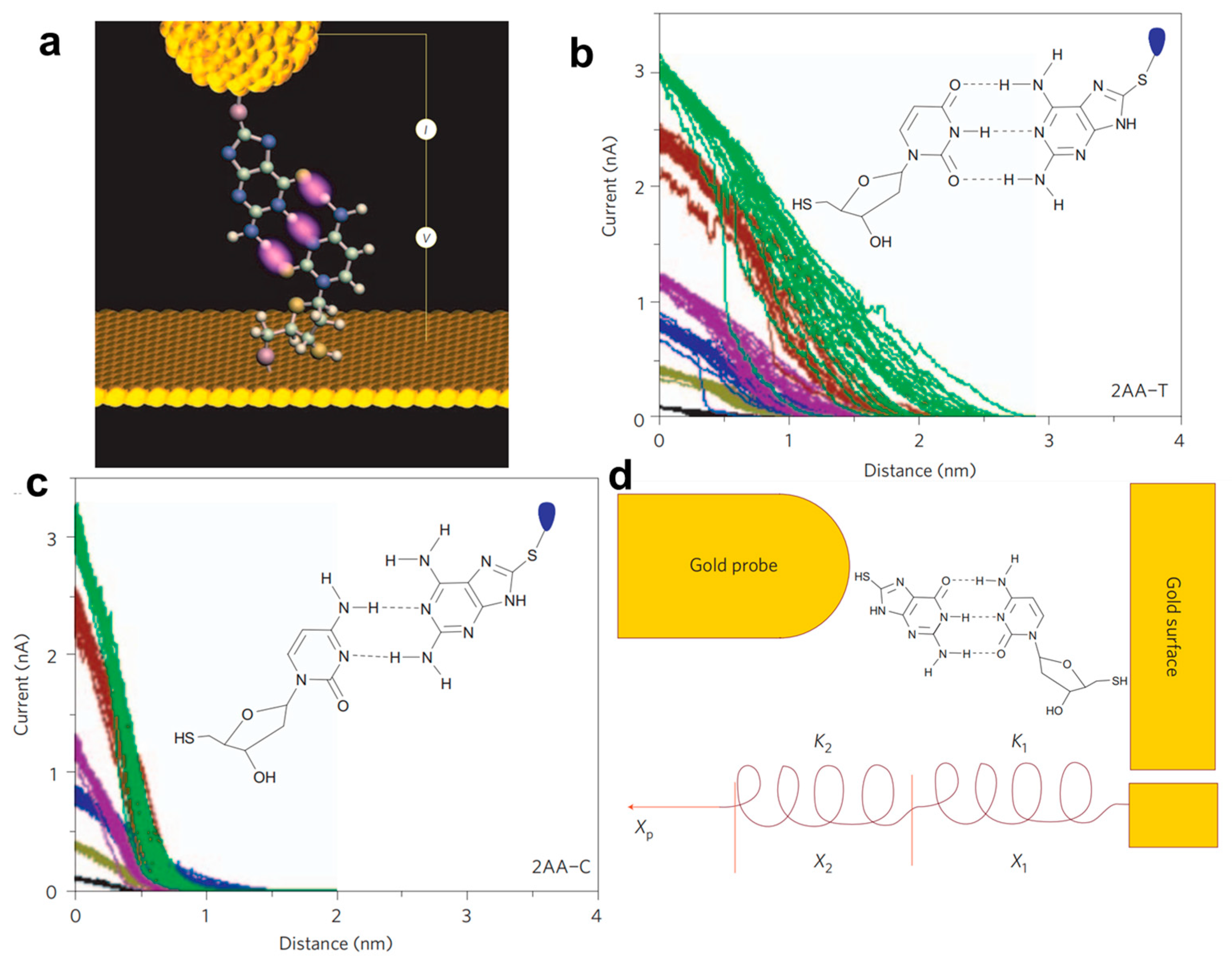 Biosensors 12 00565 g010
