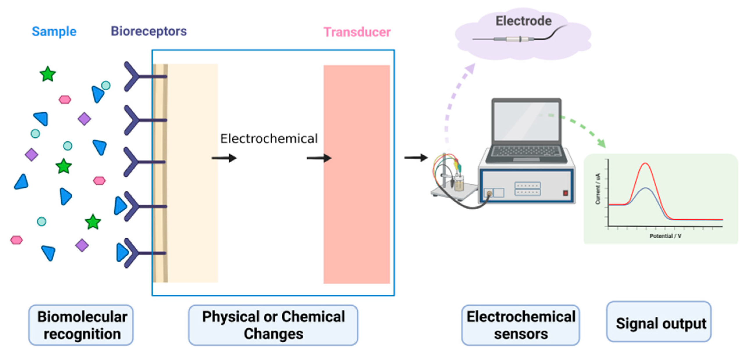 Biosensors 12 00566 g001