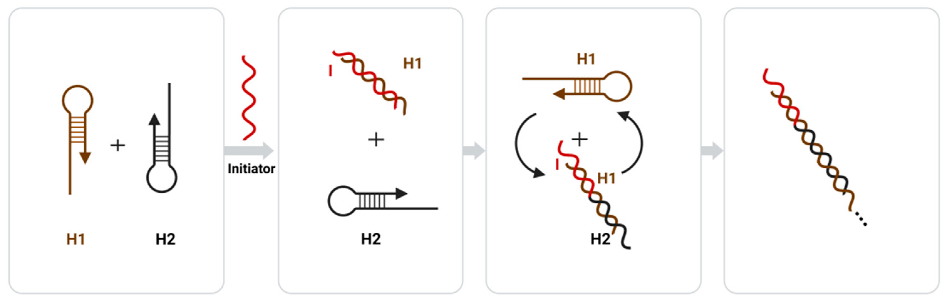 Biosensors 12 00566 g004