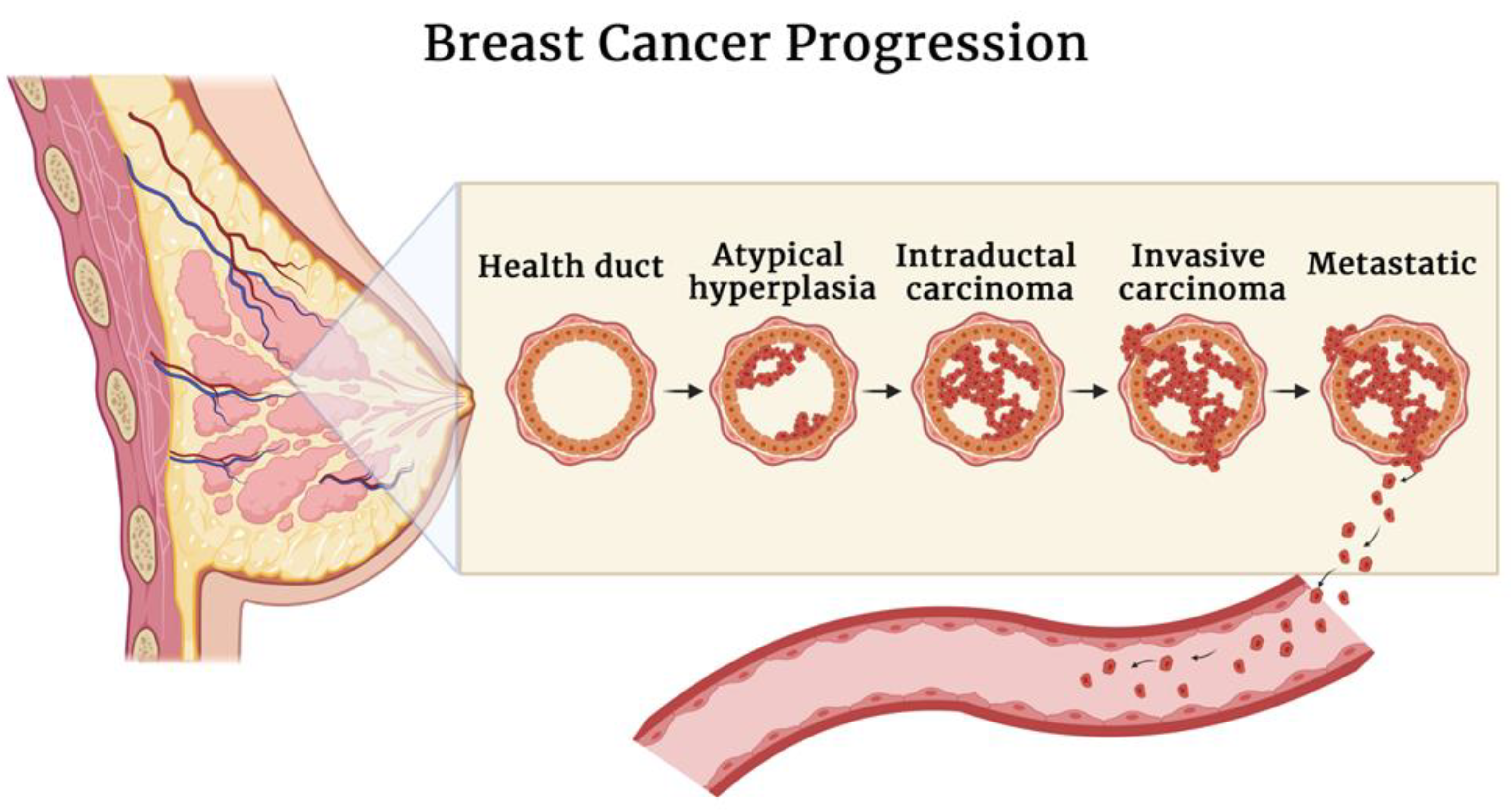 Biosensors 12 00568 g001