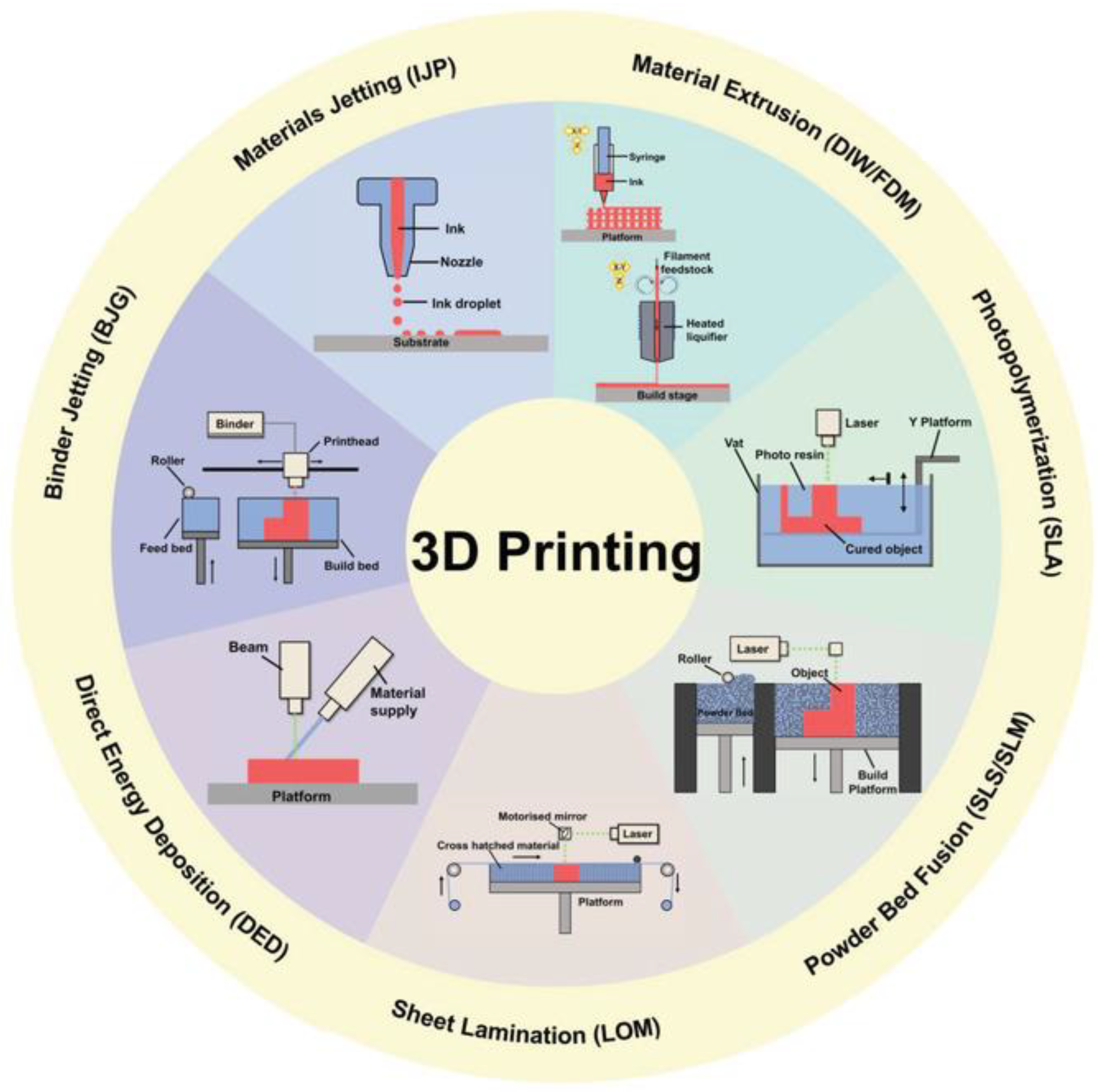 Biosensors 12 00568 g002