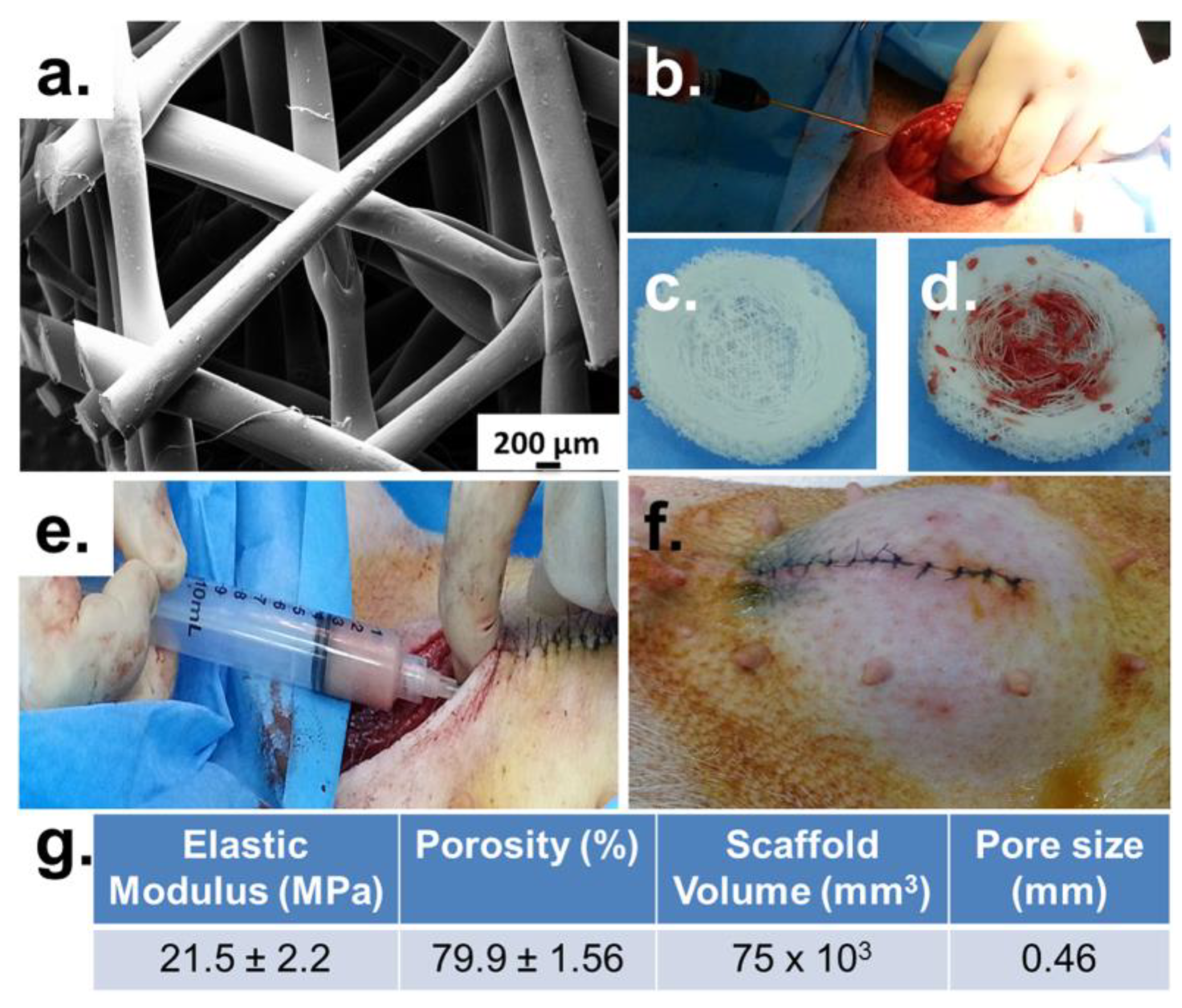 Biosensors 12 00568 g006