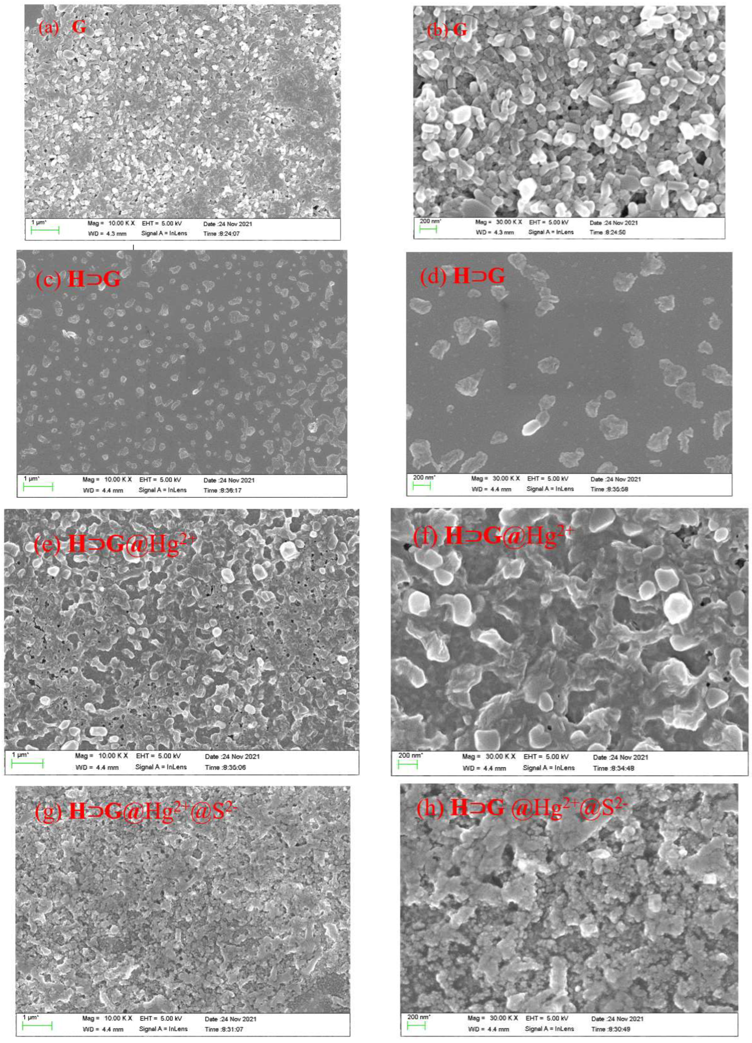 Biosensors 12 00571 g002 Biosensors 12 00571 g002