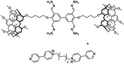 Biosensors 12 00571 i001