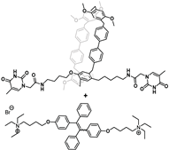 Biosensors 12 00571 i006