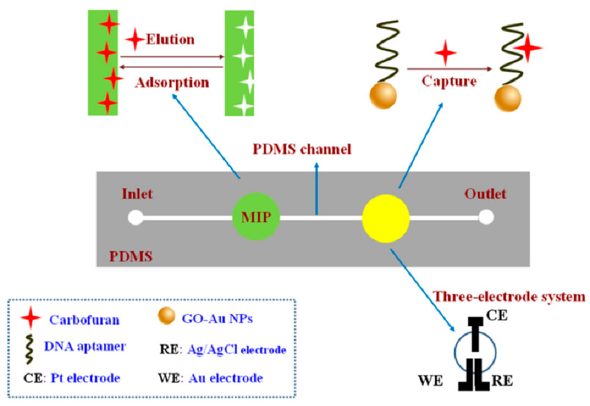 Biosensors 12 00576 g006