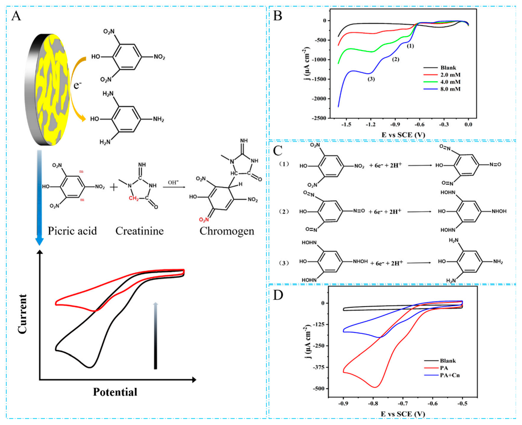 Biosensors 12 00588 g004