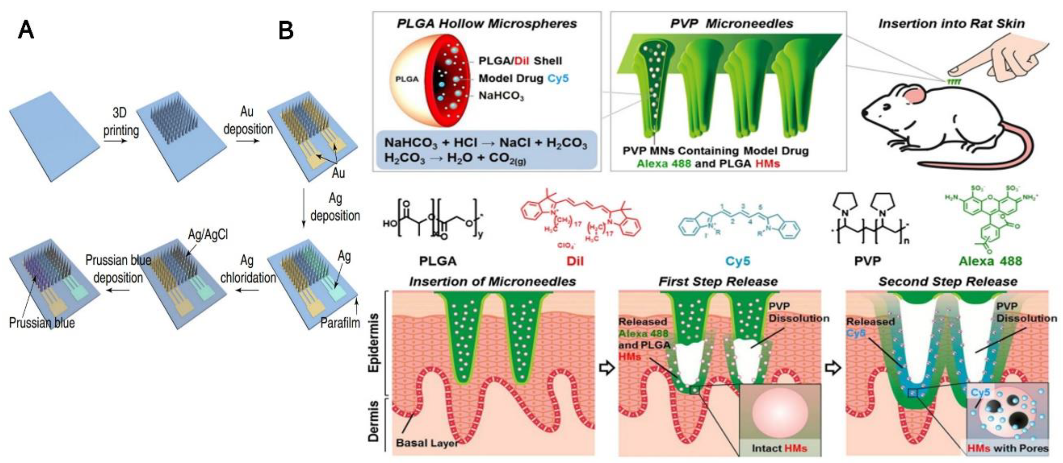 Biosensors 12 00606 g001