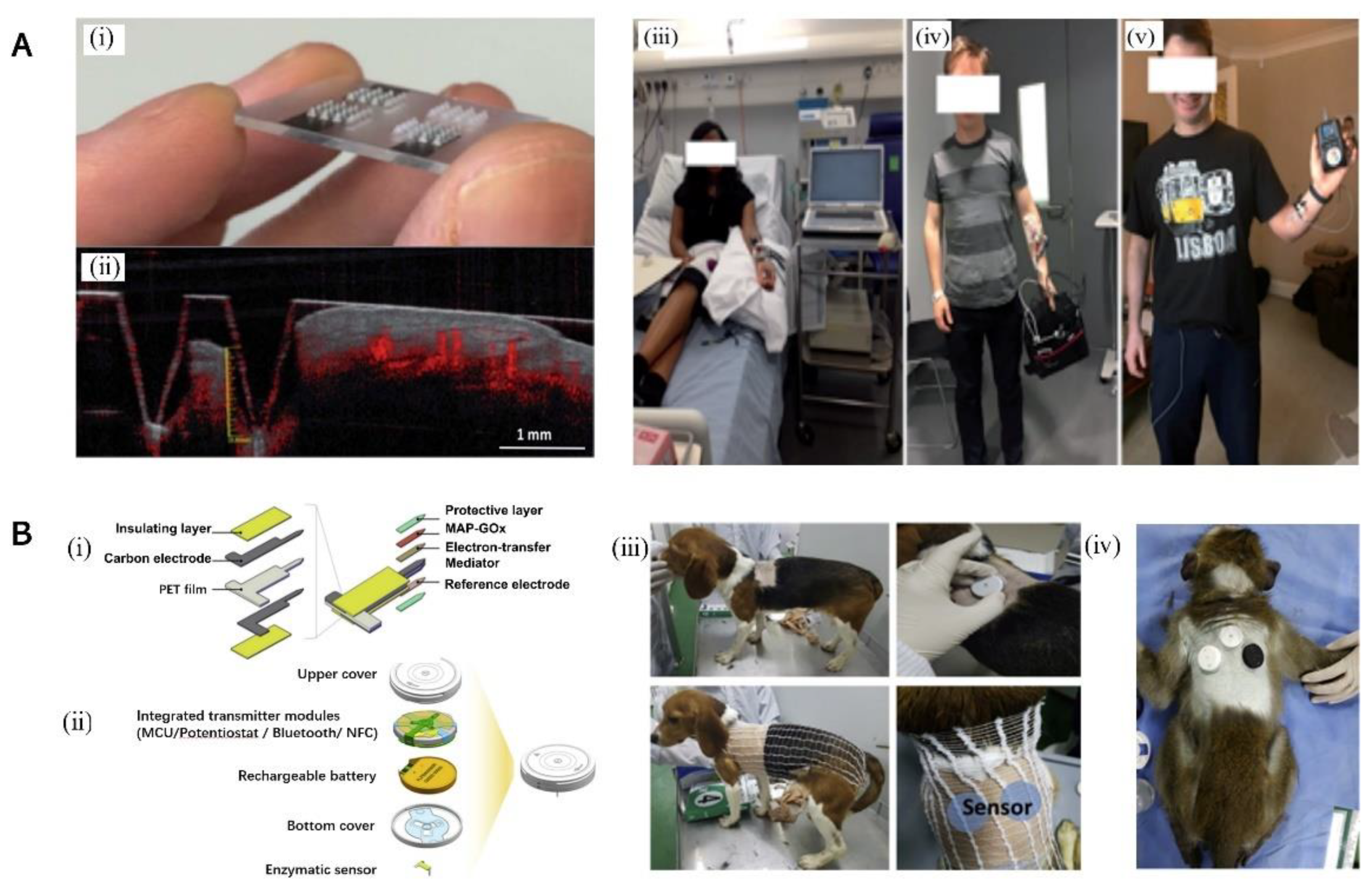 Biosensors 12 00606 g004