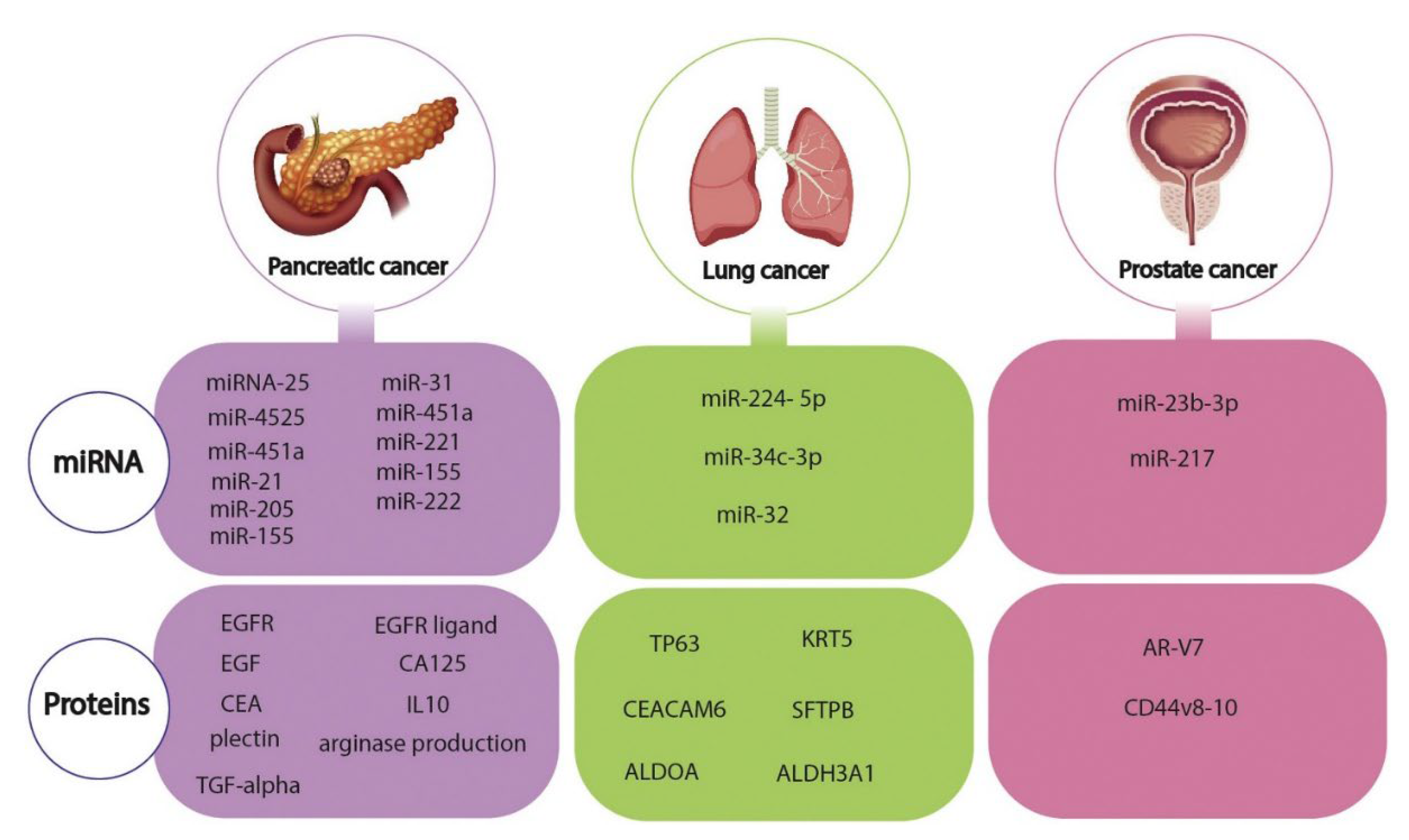 Biosensors 12 00607 g001