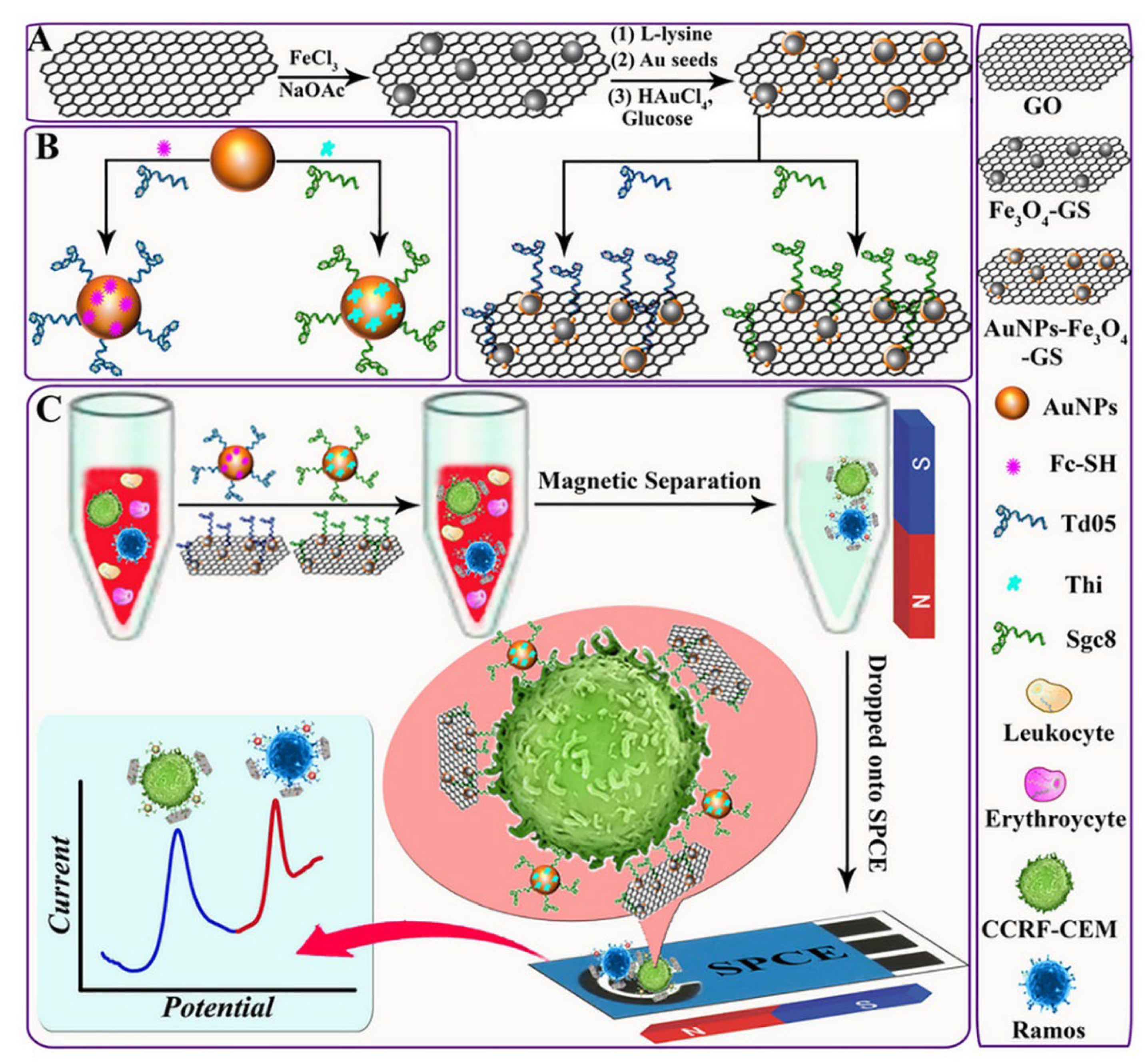 Biosensors 12 00607 g005