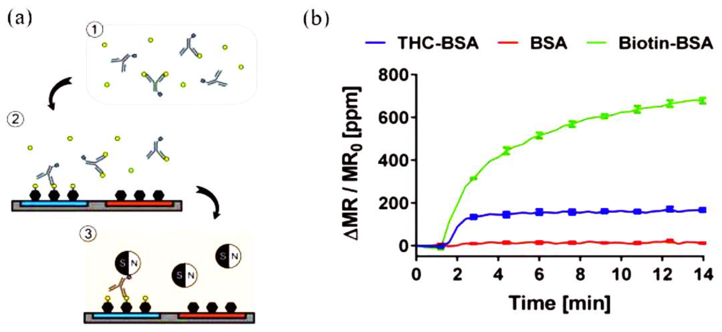 Biosensors 12 00608 g003