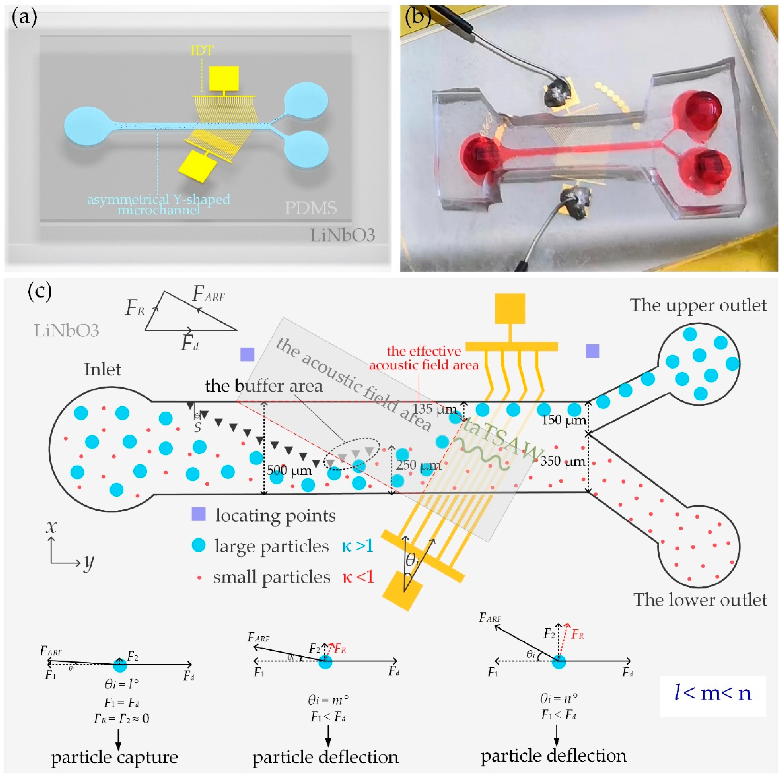 A Perturbed Asymmetrical Y-TypeSheathless Chip for Particle Control ...