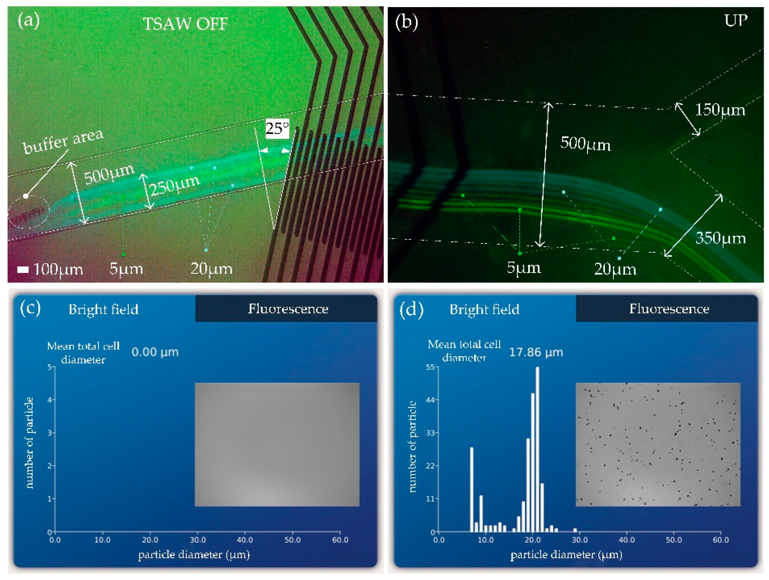 A Perturbed Asymmetrical Y-TypeSheathless Chip for Particle Control ...