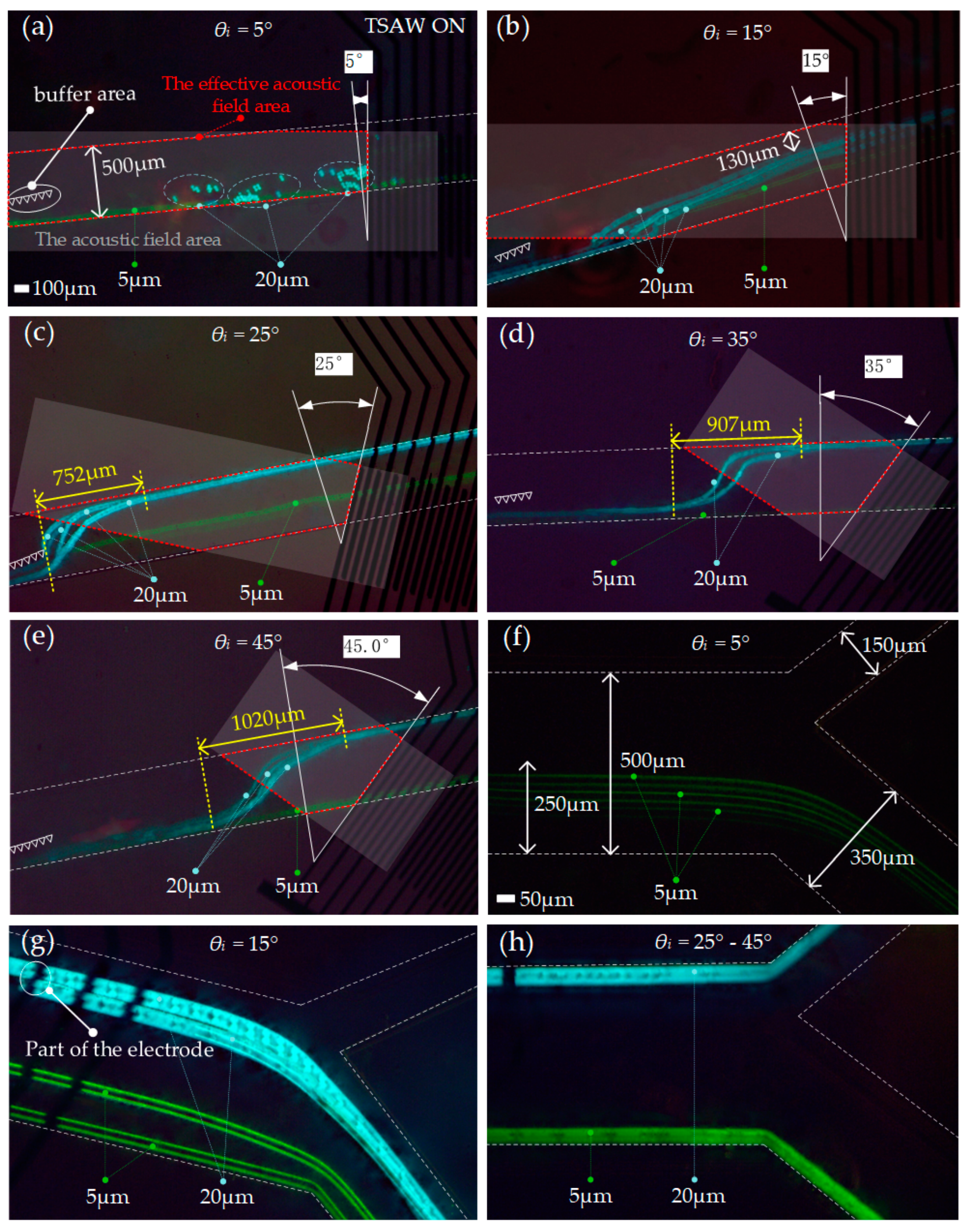 A Perturbed Asymmetrical Y-TypeSheathless Chip for Particle Control ...