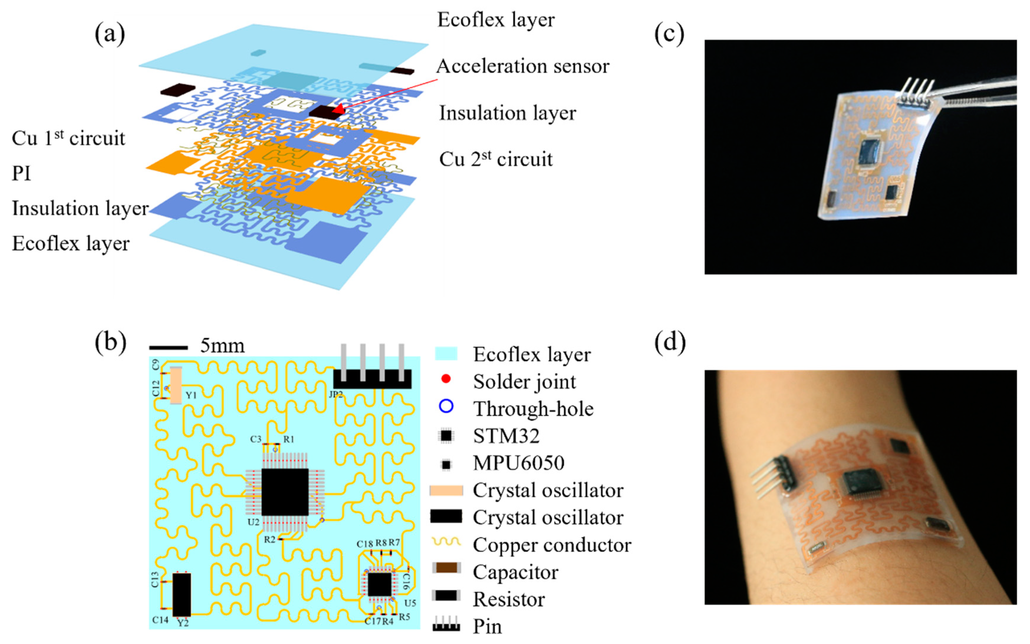 Biosensors 12 00620 g001