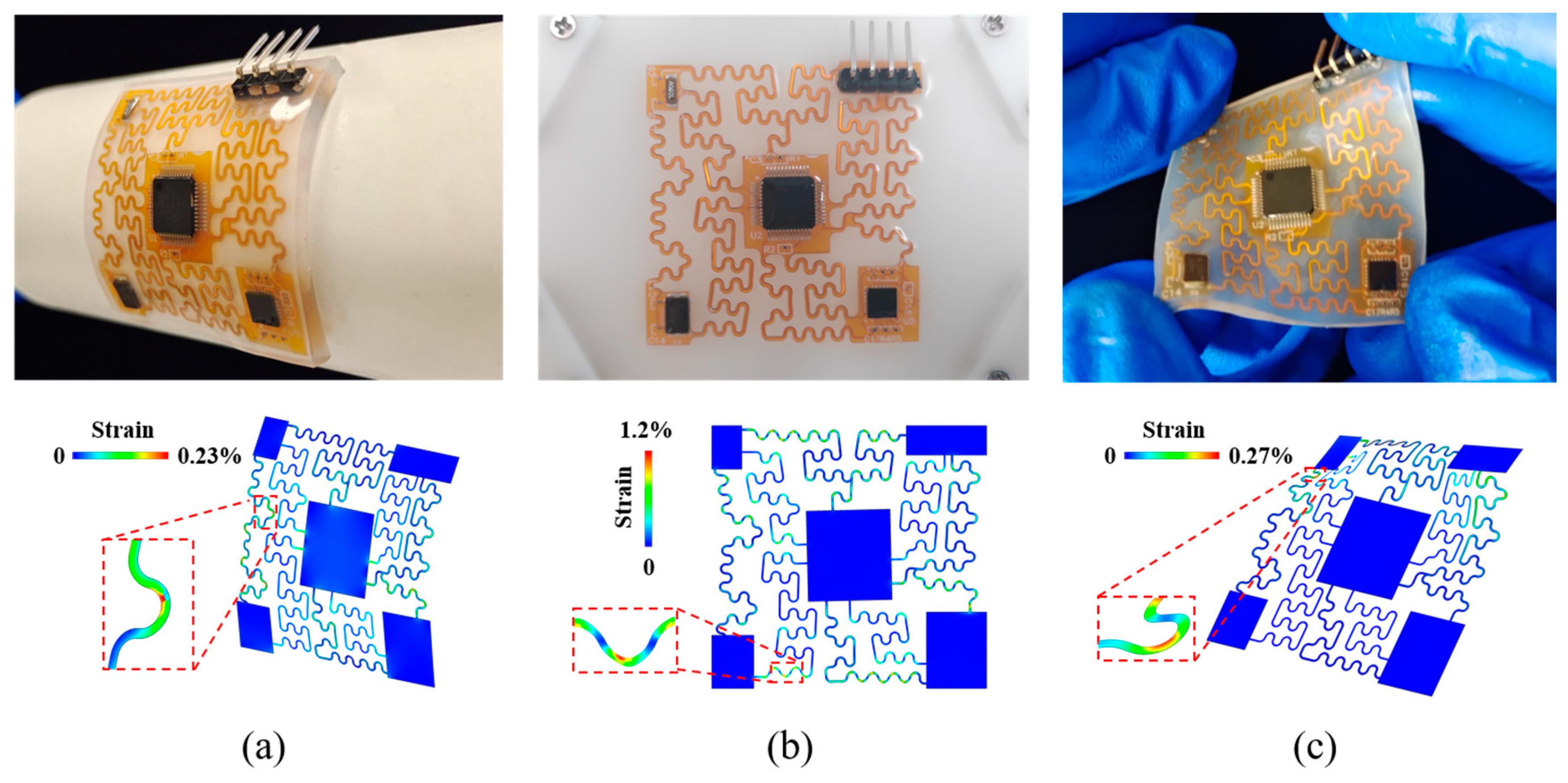 Biosensors 12 00620 g002