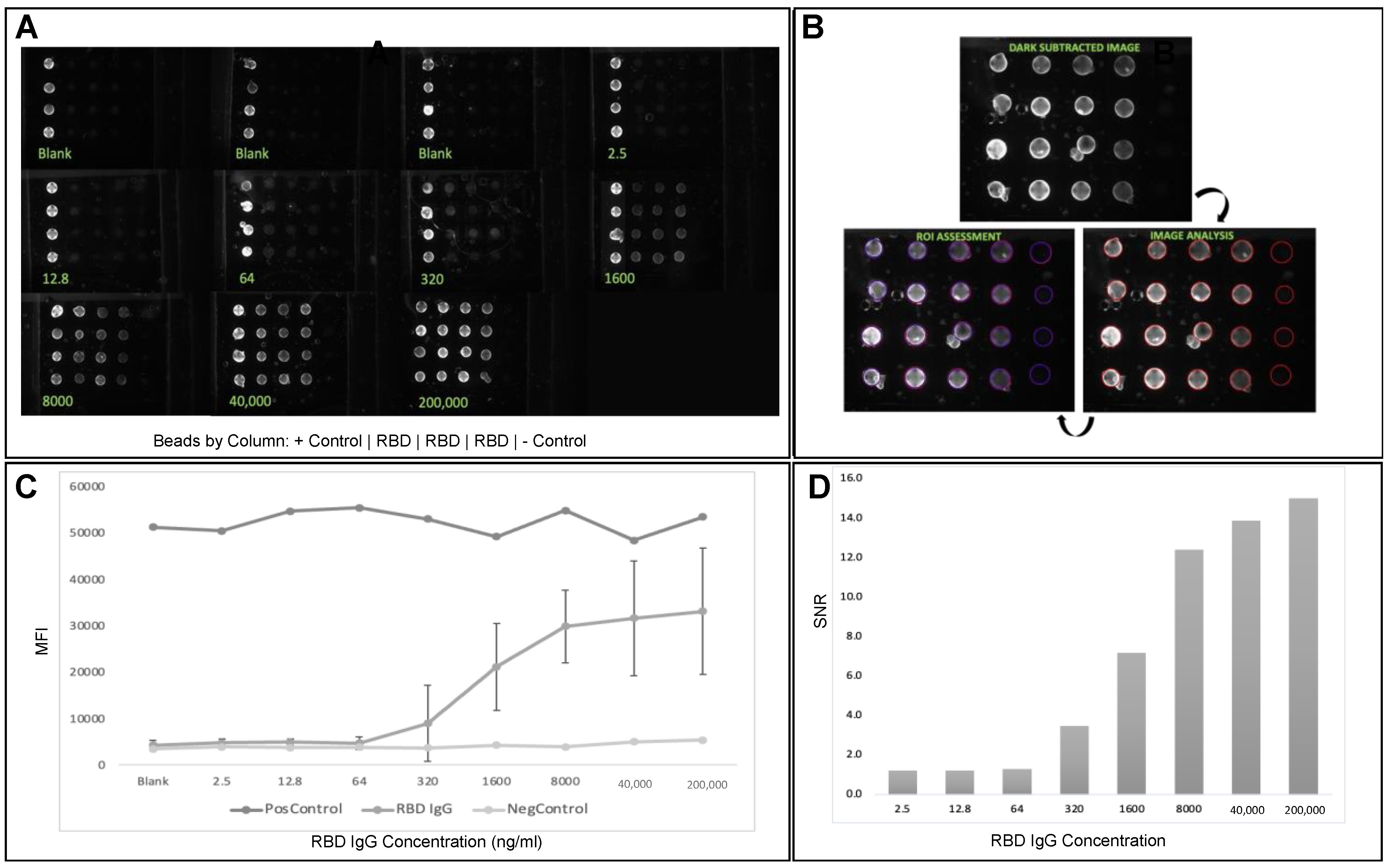 Biosensors 12 00621 g003