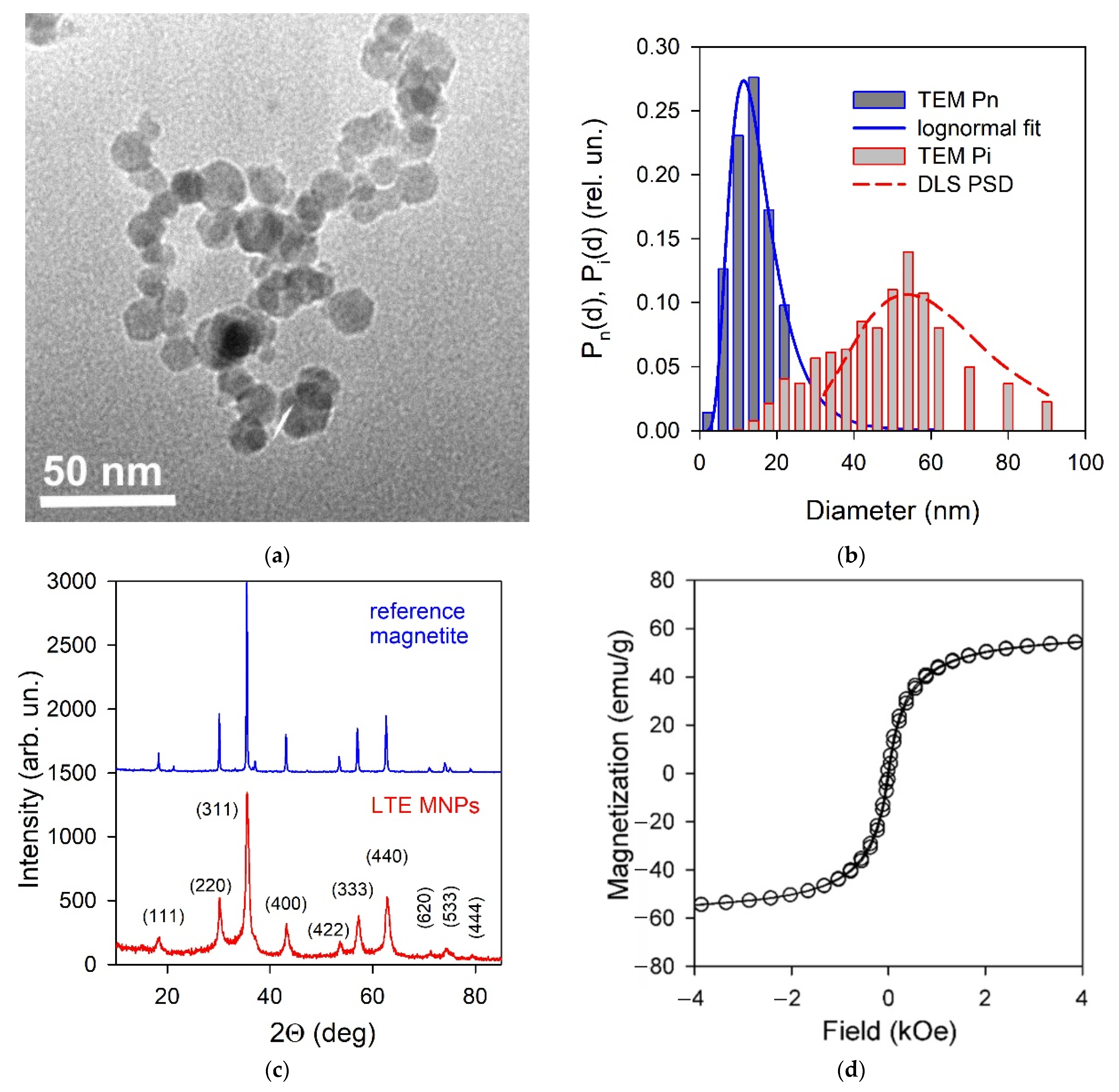 Biosensors 12 00627 g003