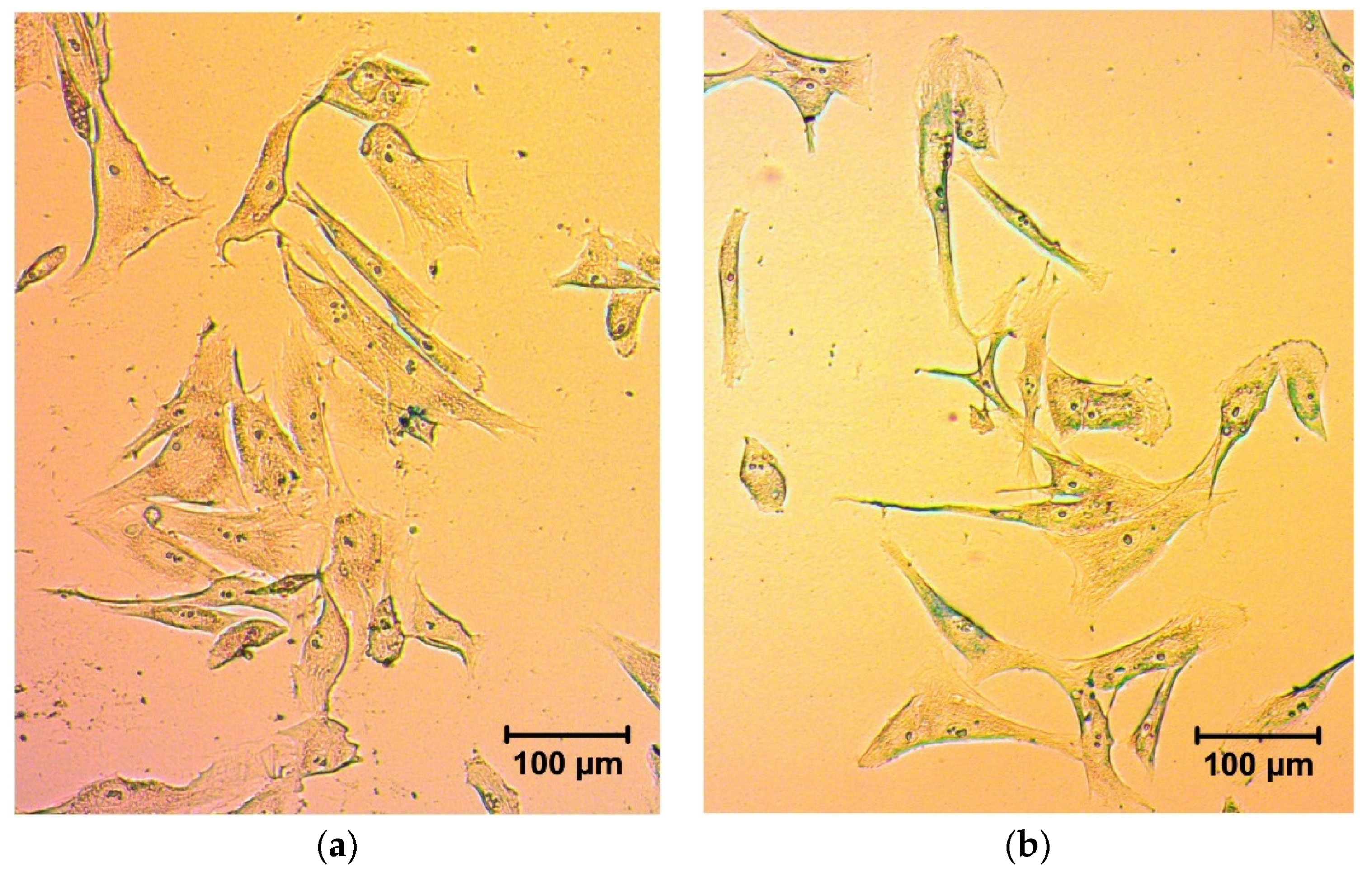Biosensors 12 00627 g004a