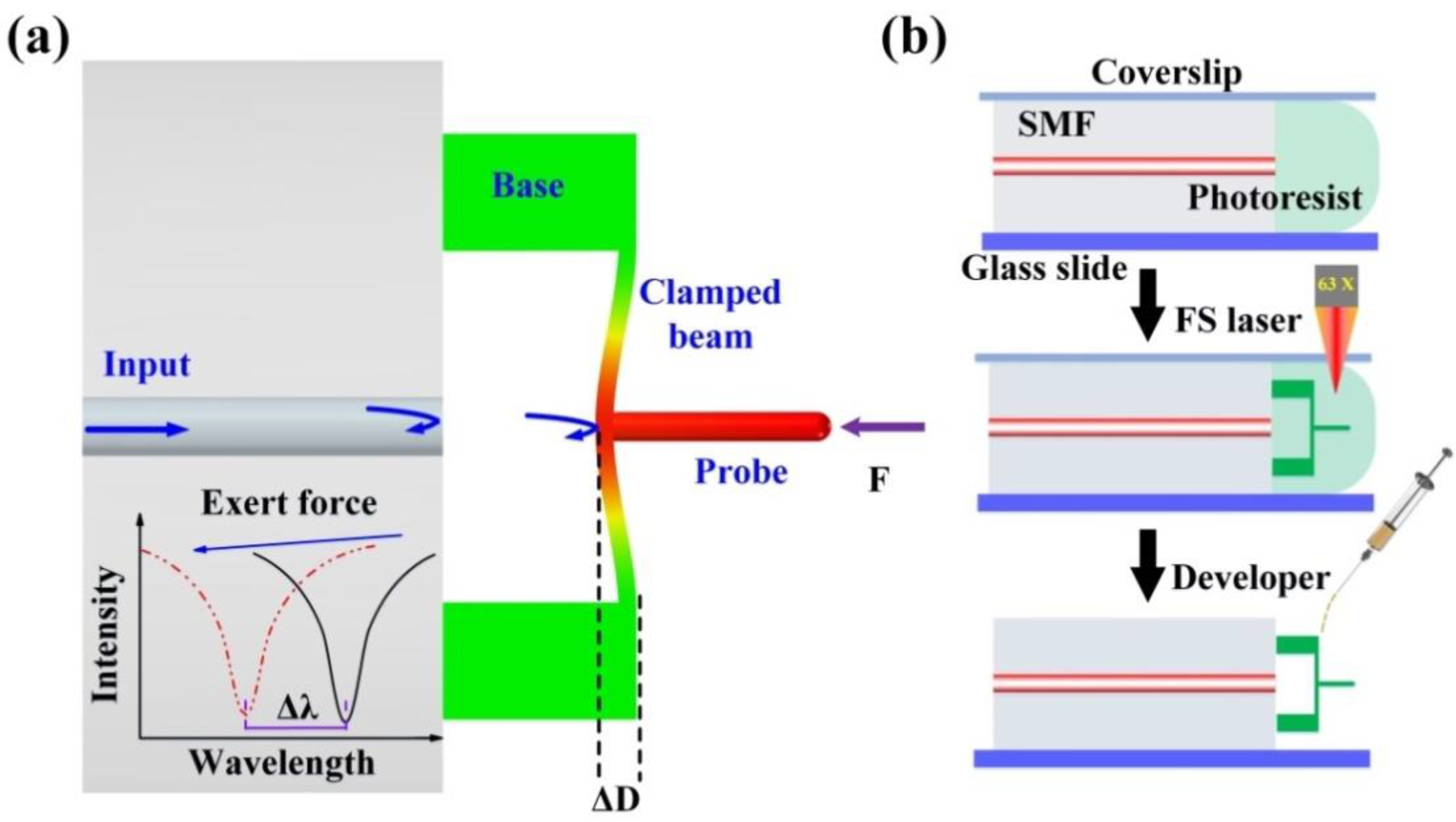 Biosensors 12 00629 g002 Biosensors 12 00629 g002