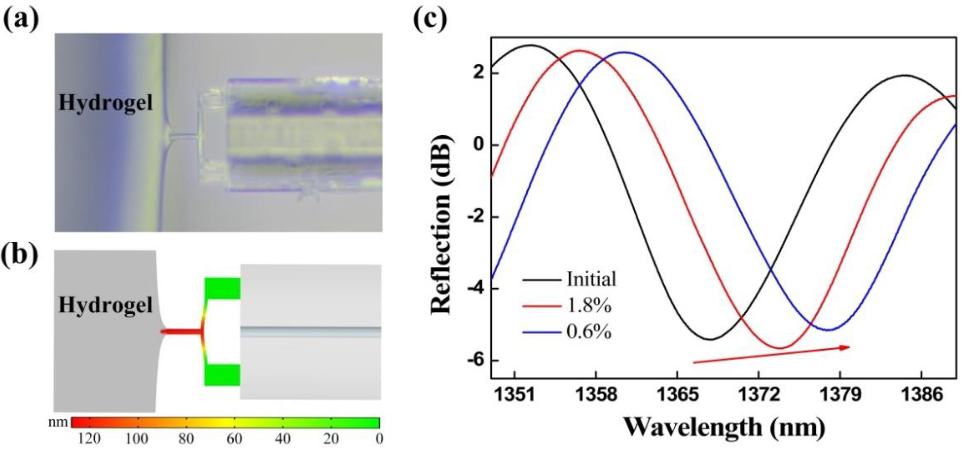 Biosensors 12 00629 g005 Biosensors 12 00629 g005