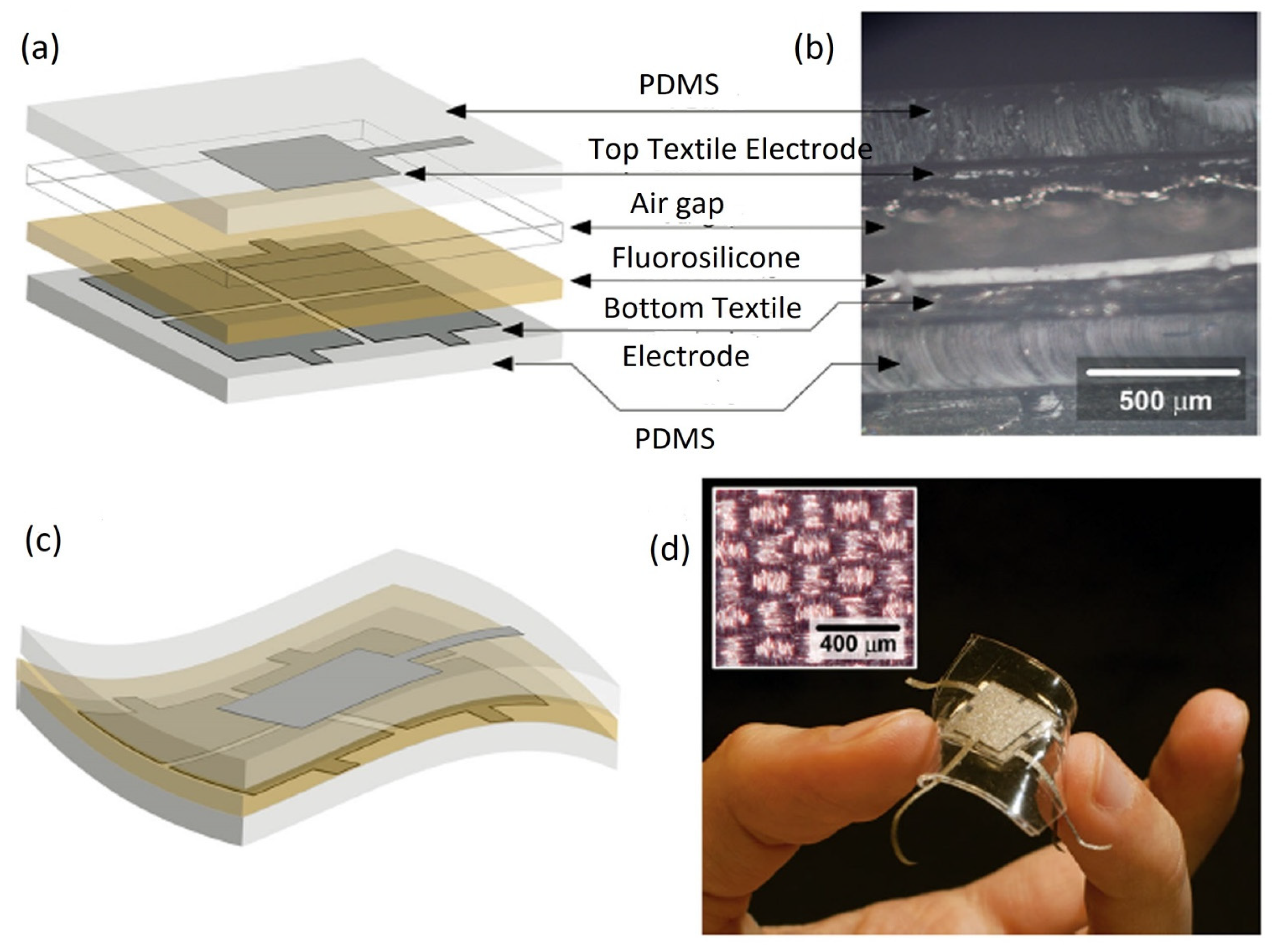 Biosensors 12 00630 g002