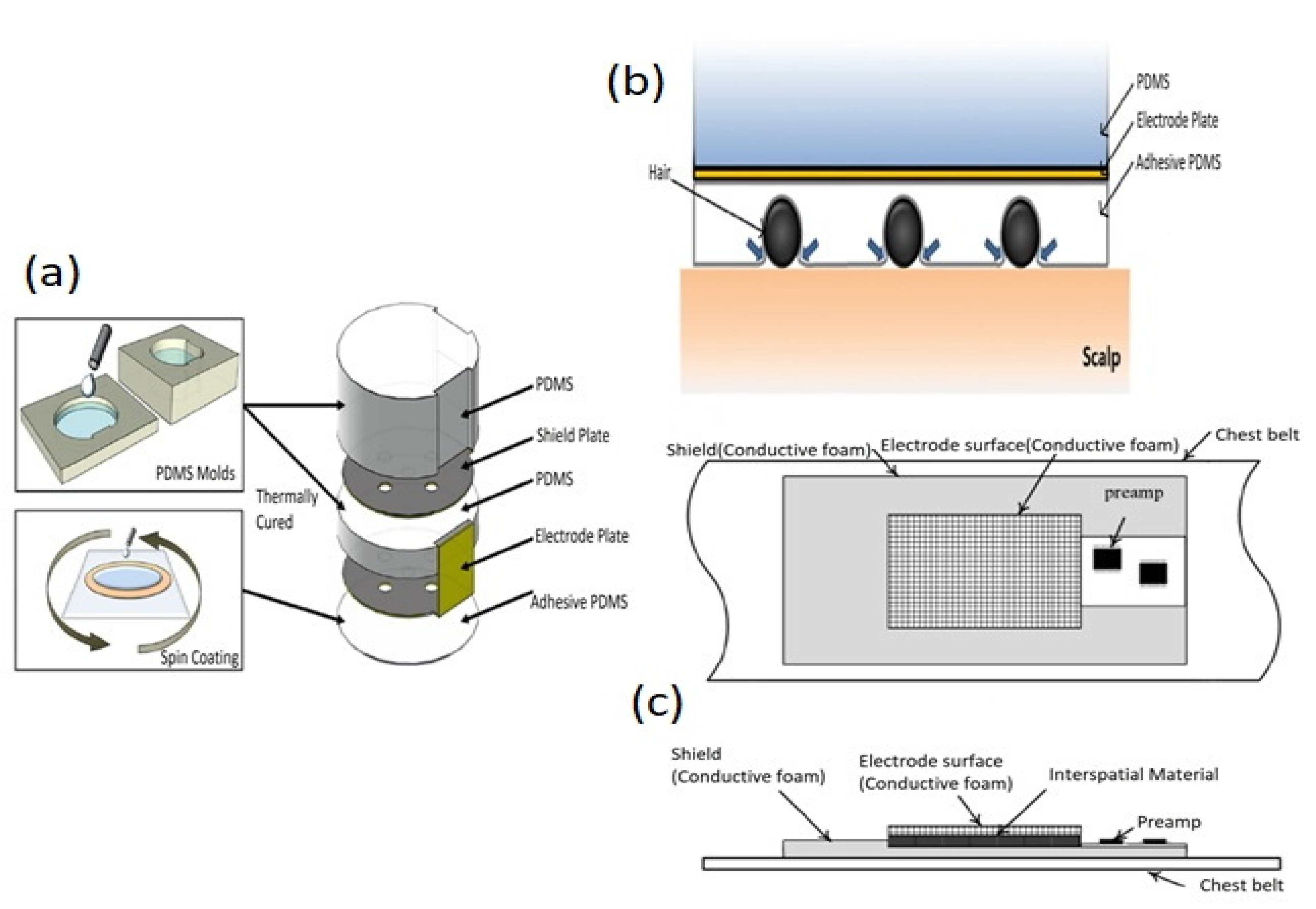 Biosensors 12 00630 g012