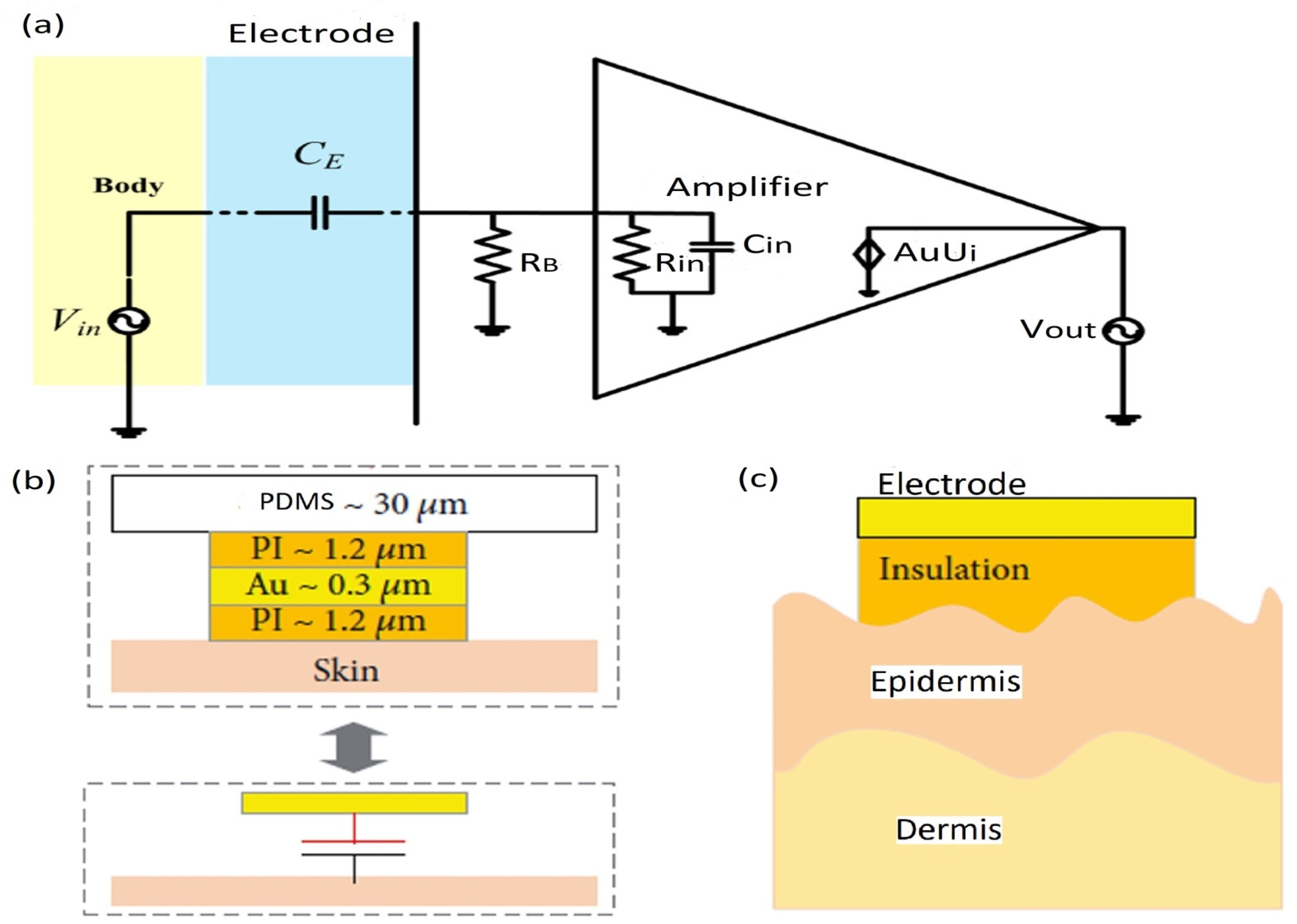 Biosensors 12 00630 g014