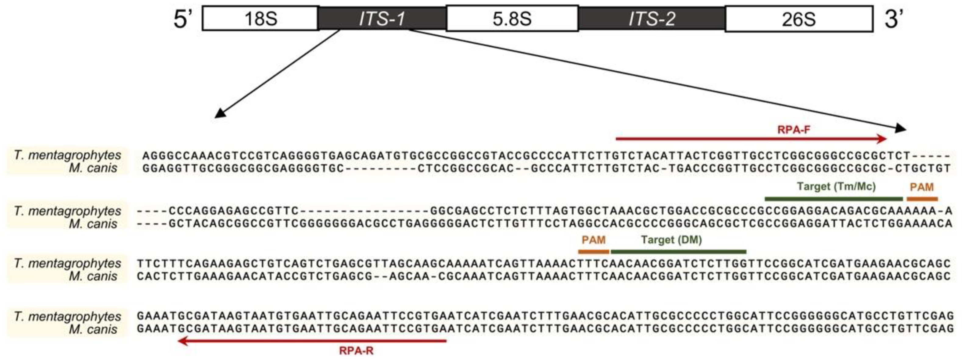 Biosensors 12 00636 g002