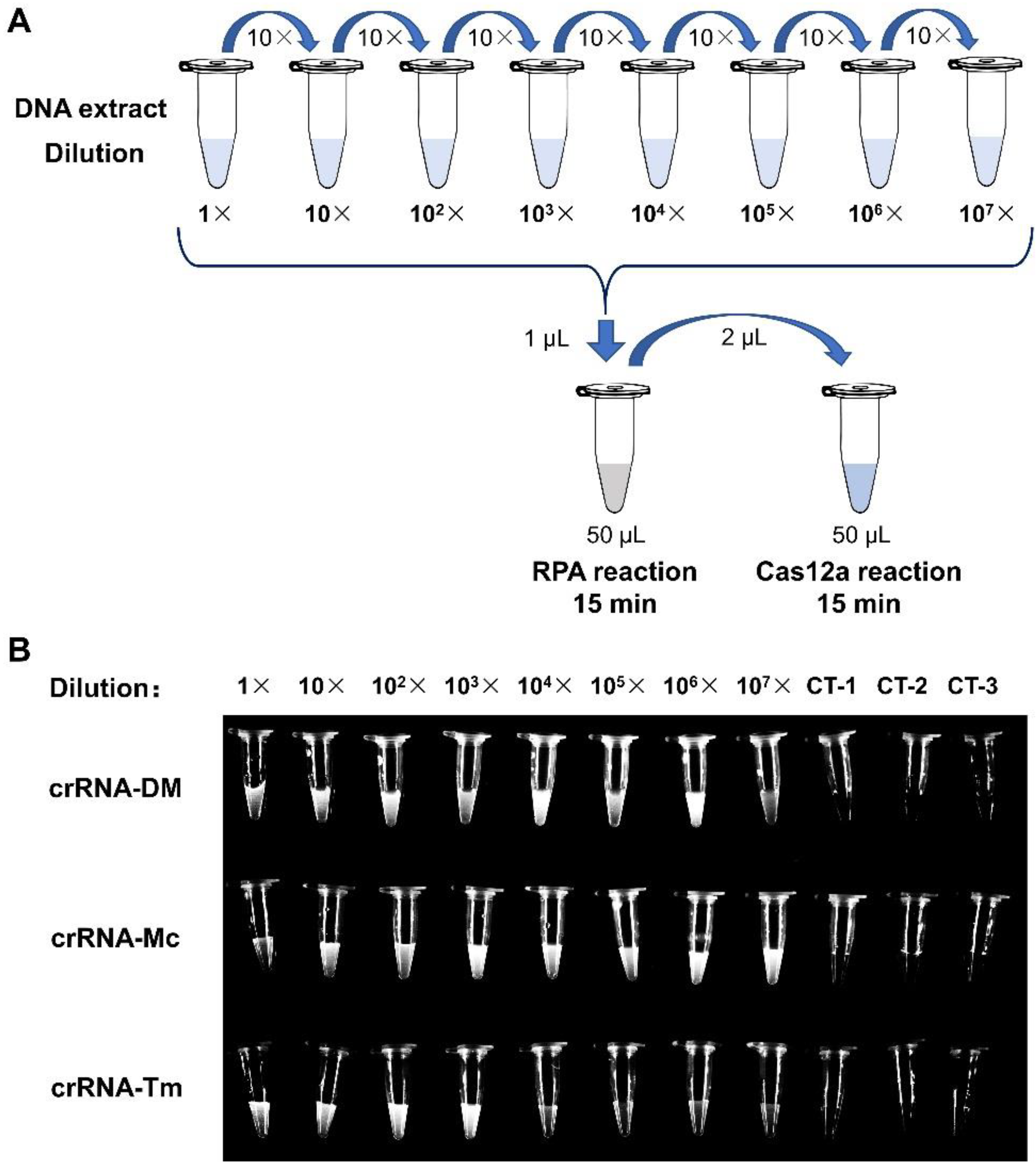 Biosensors 12 00636 g004