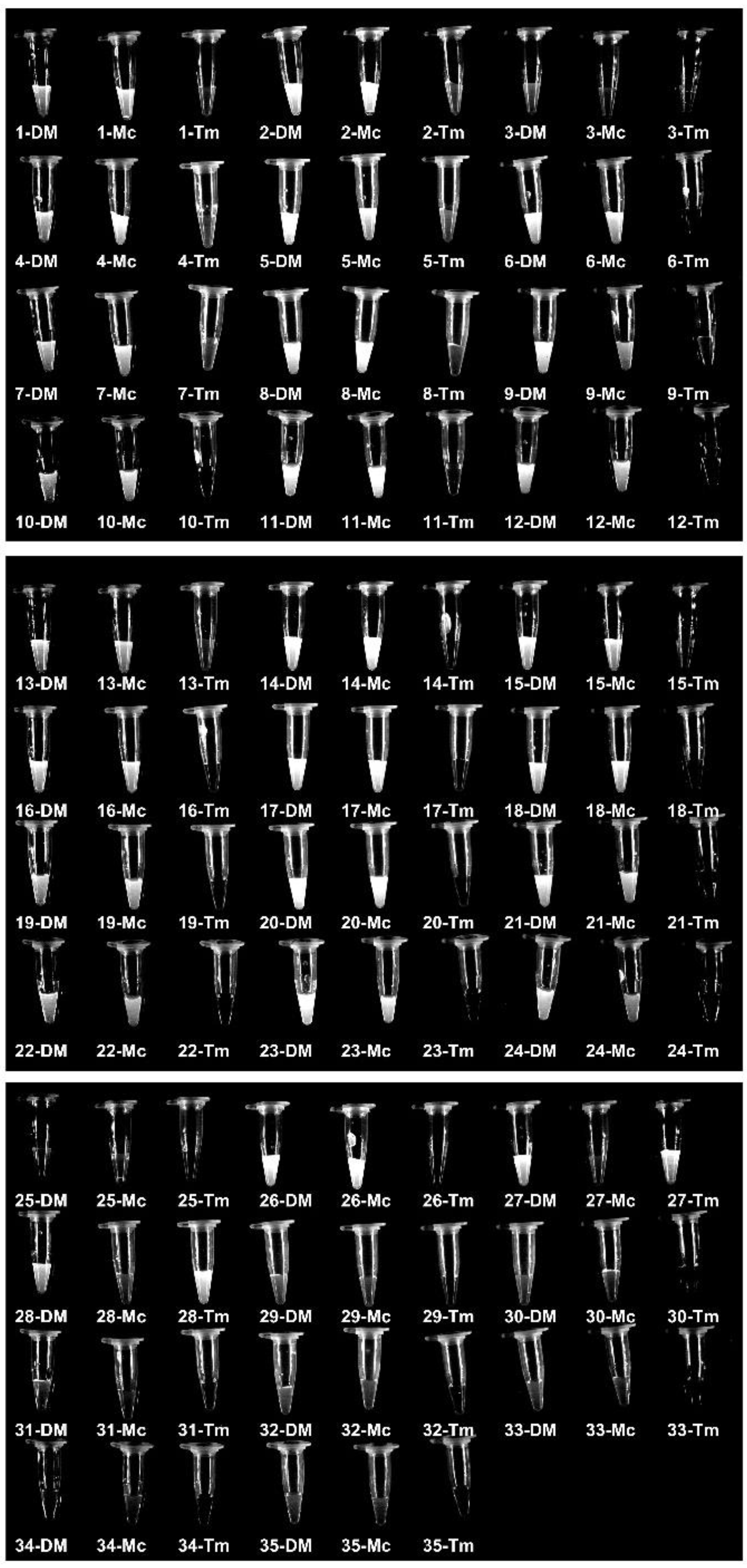 Biosensors 12 00636 g005