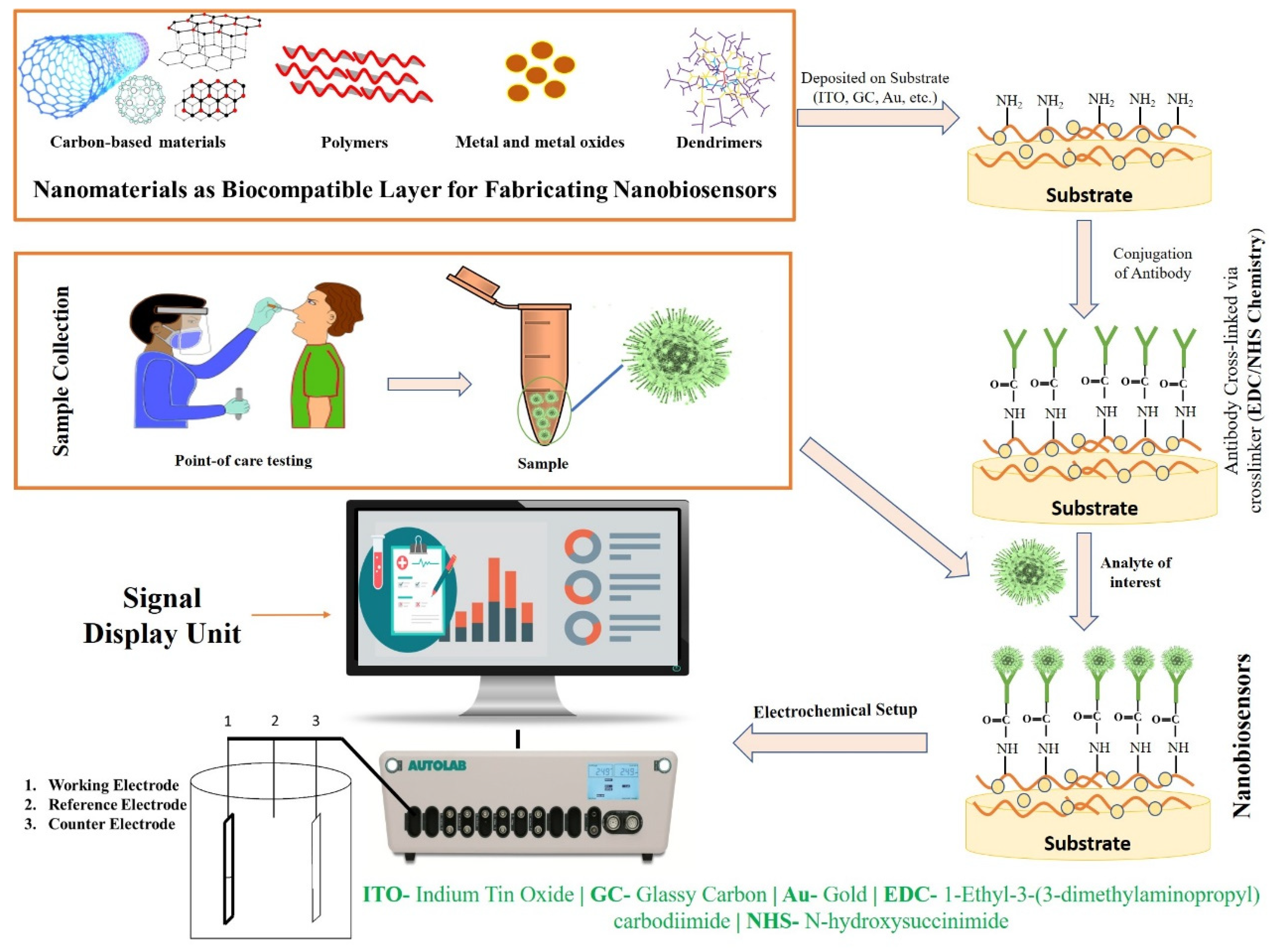 Biosensors 12 00637 g002