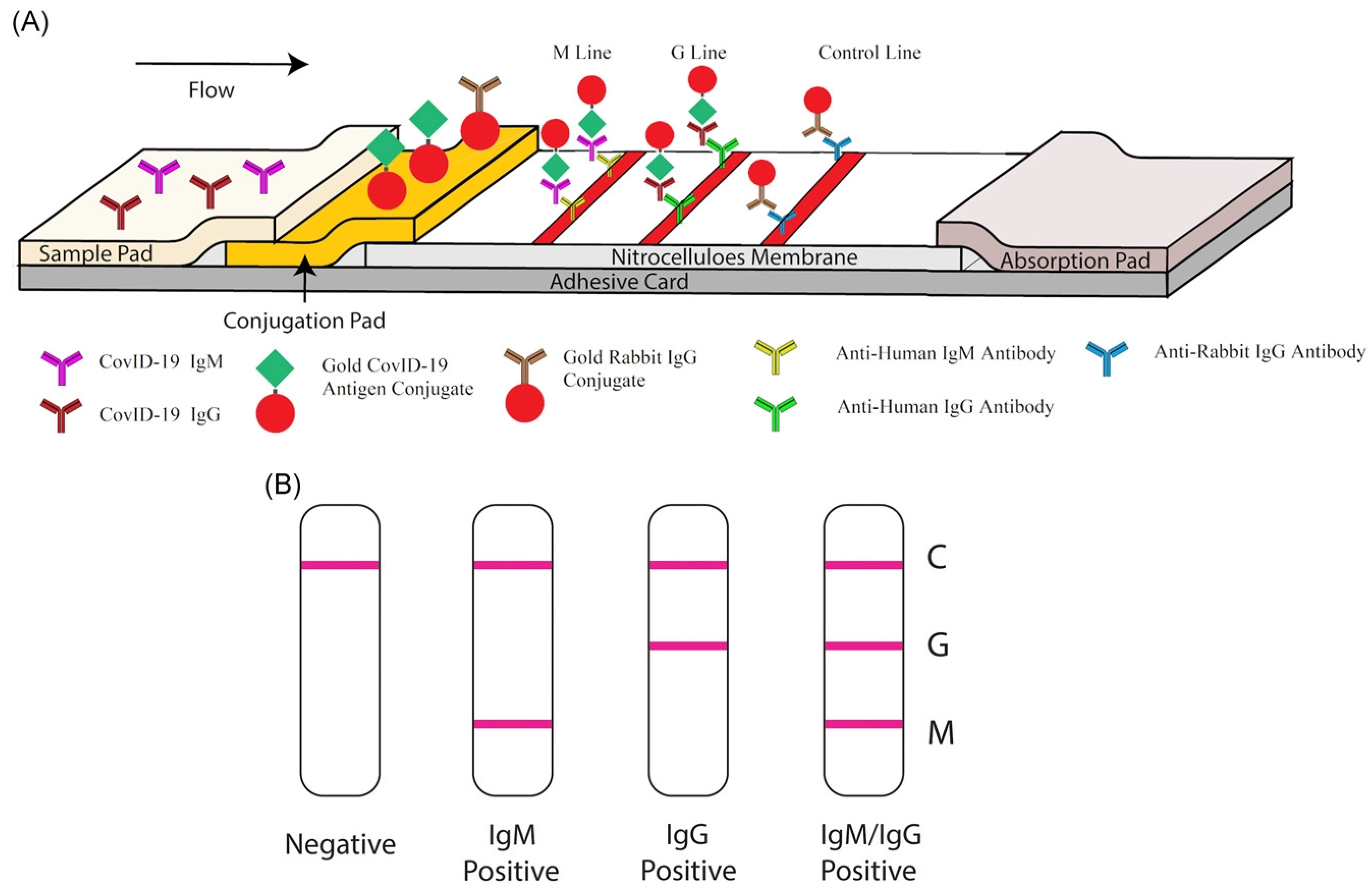 Biosensors 12 00637 g005