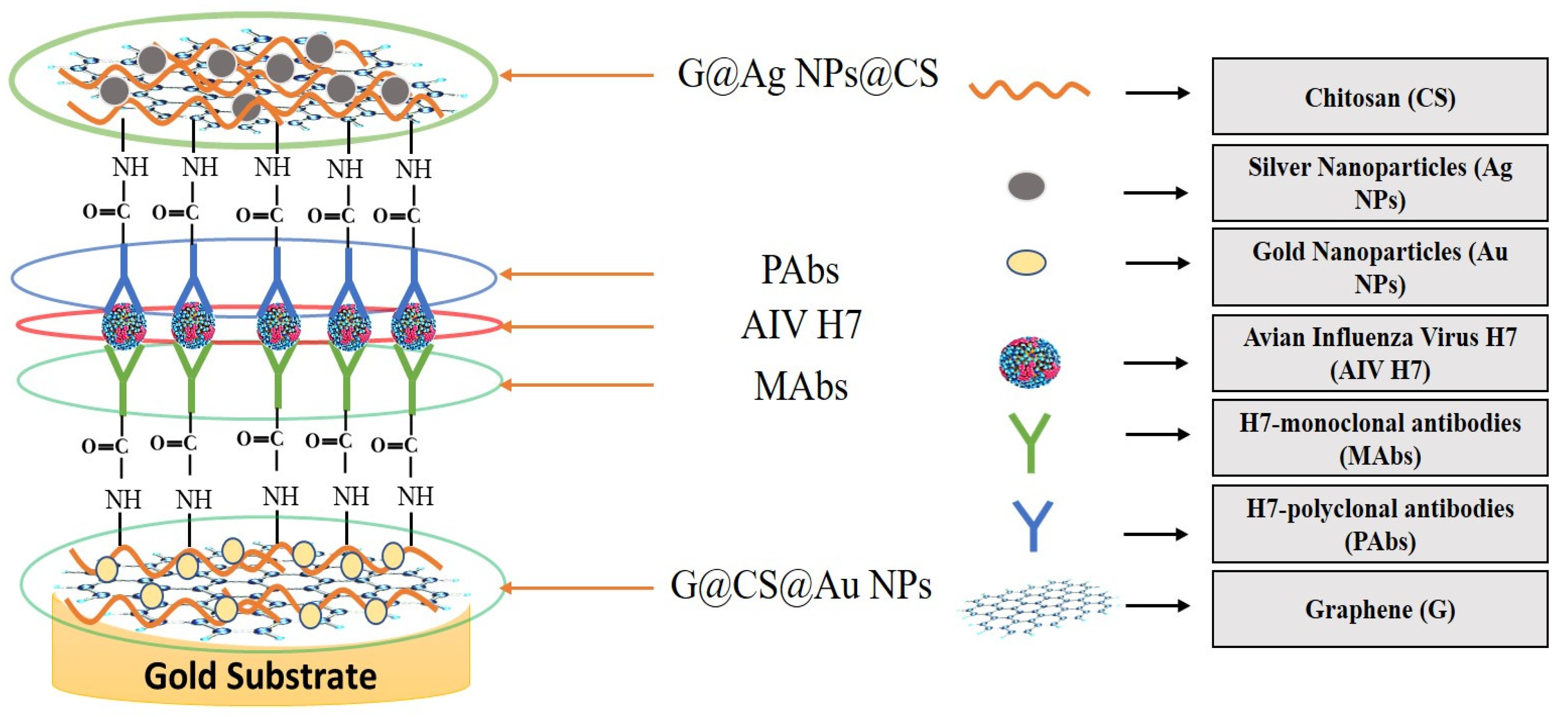 Biosensors 12 00637 g007