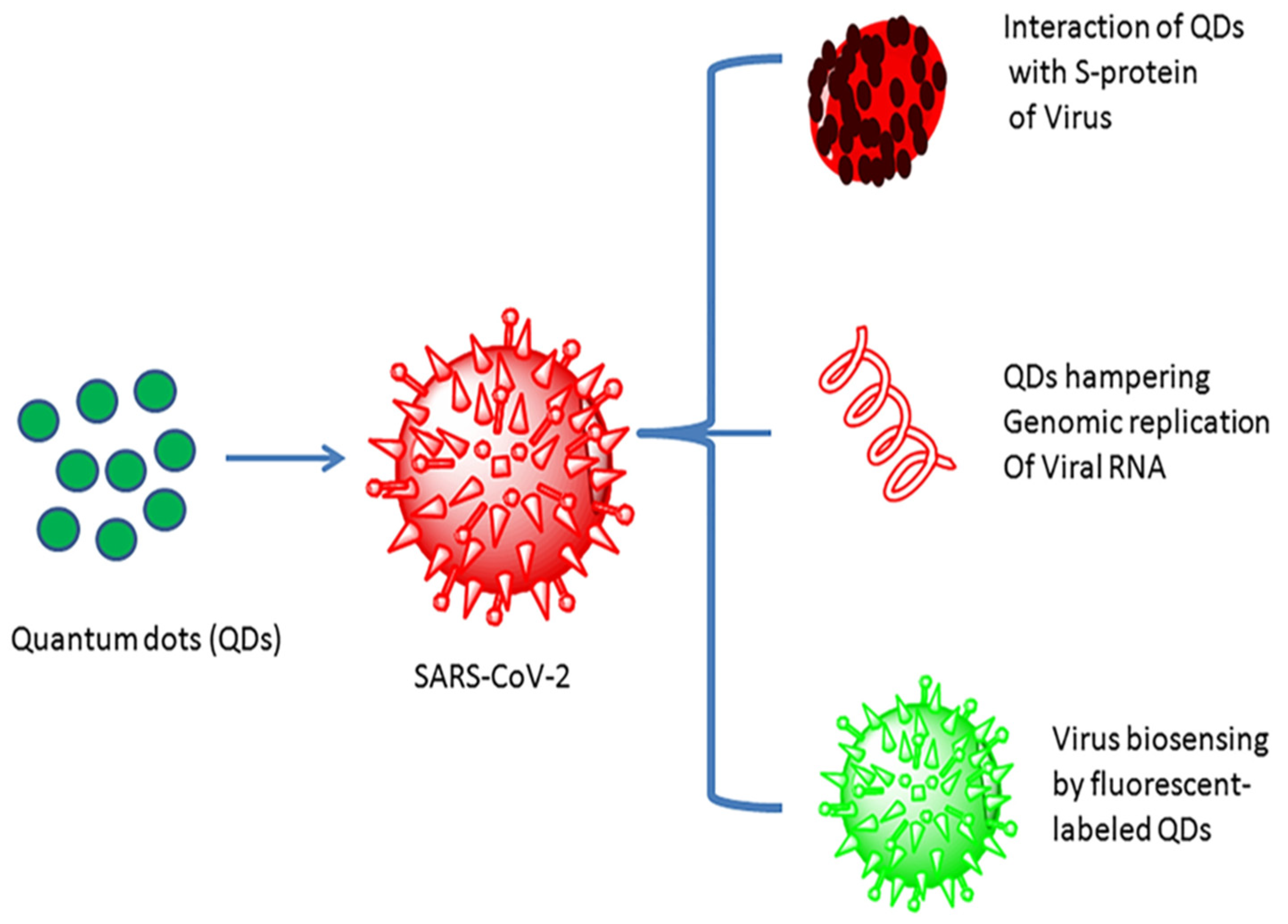Biosensors 12 00637 g008