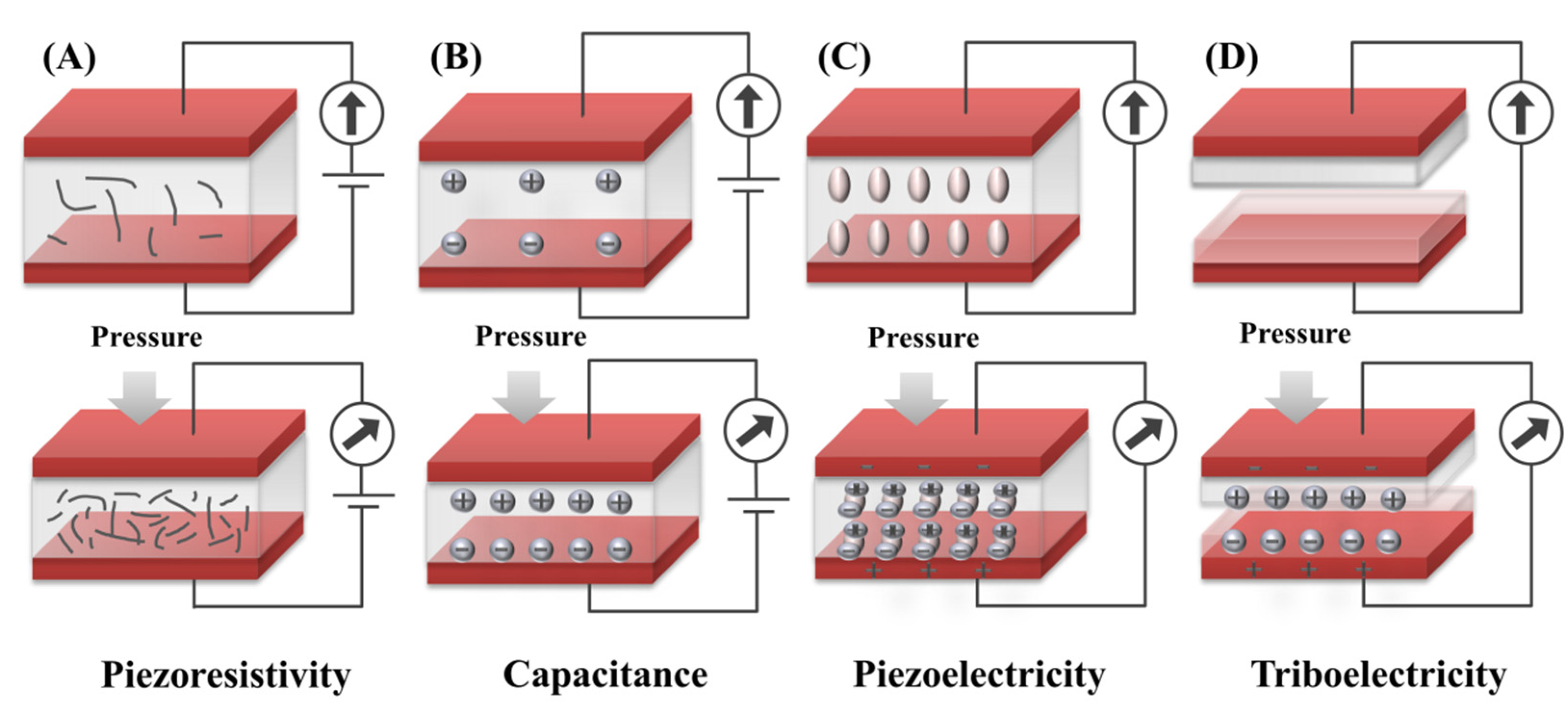Biosensors 12 00651 g001