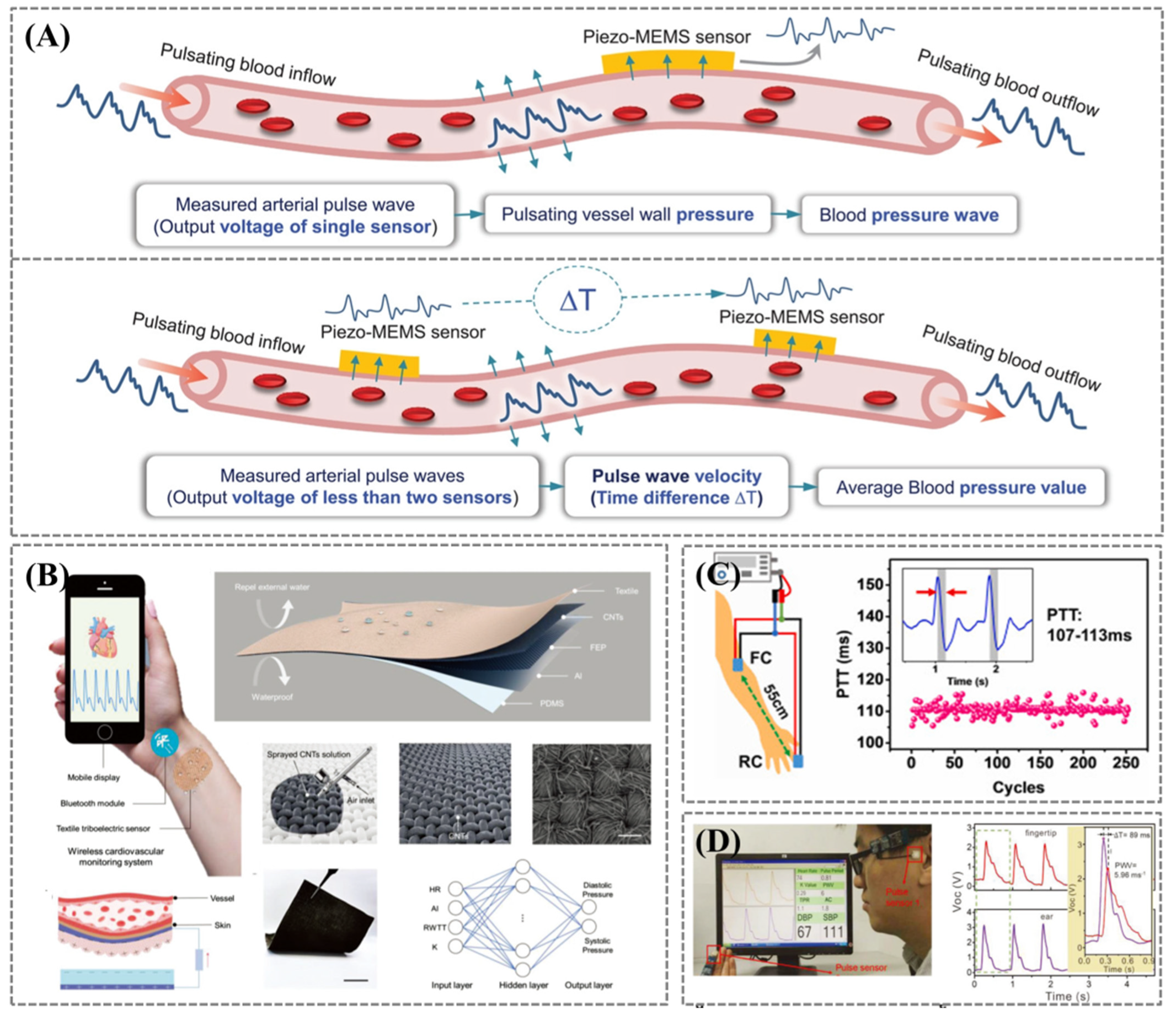 Biosensors 12 00651 g004