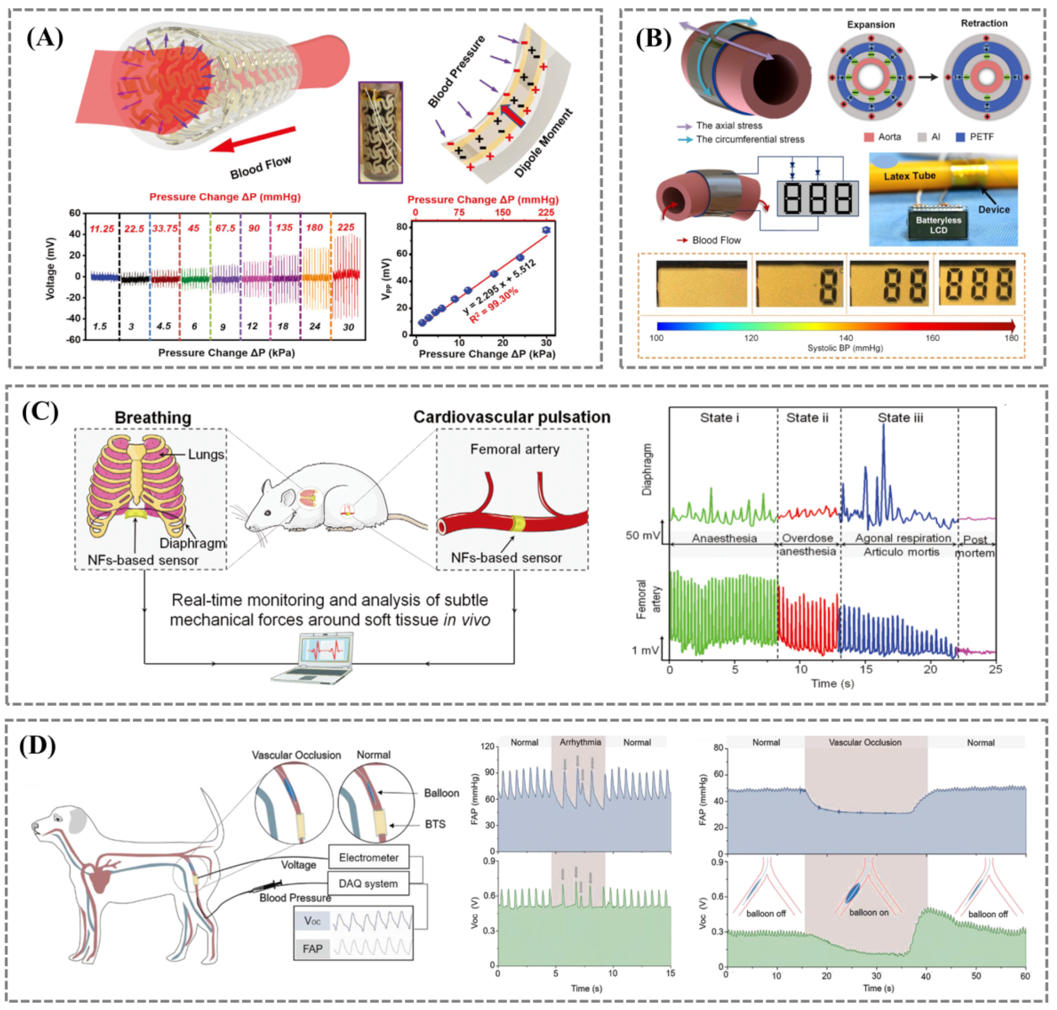 Biosensors 12 00651 g005