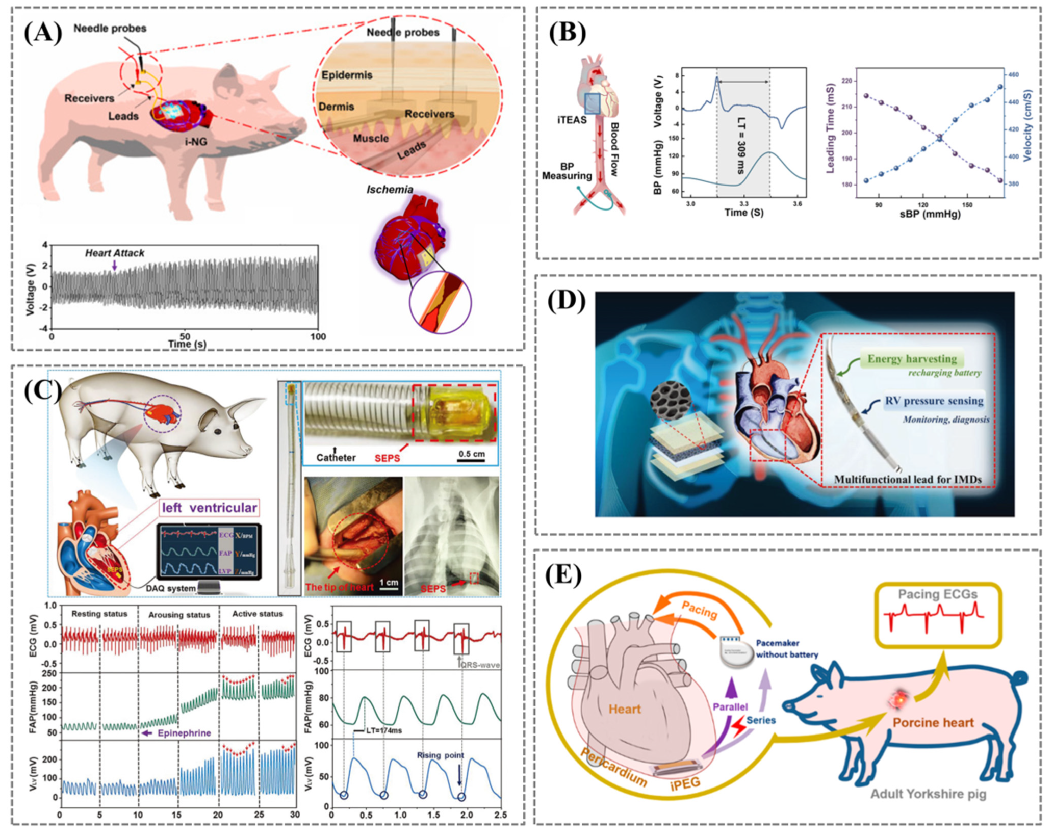Biosensors 12 00651 g006