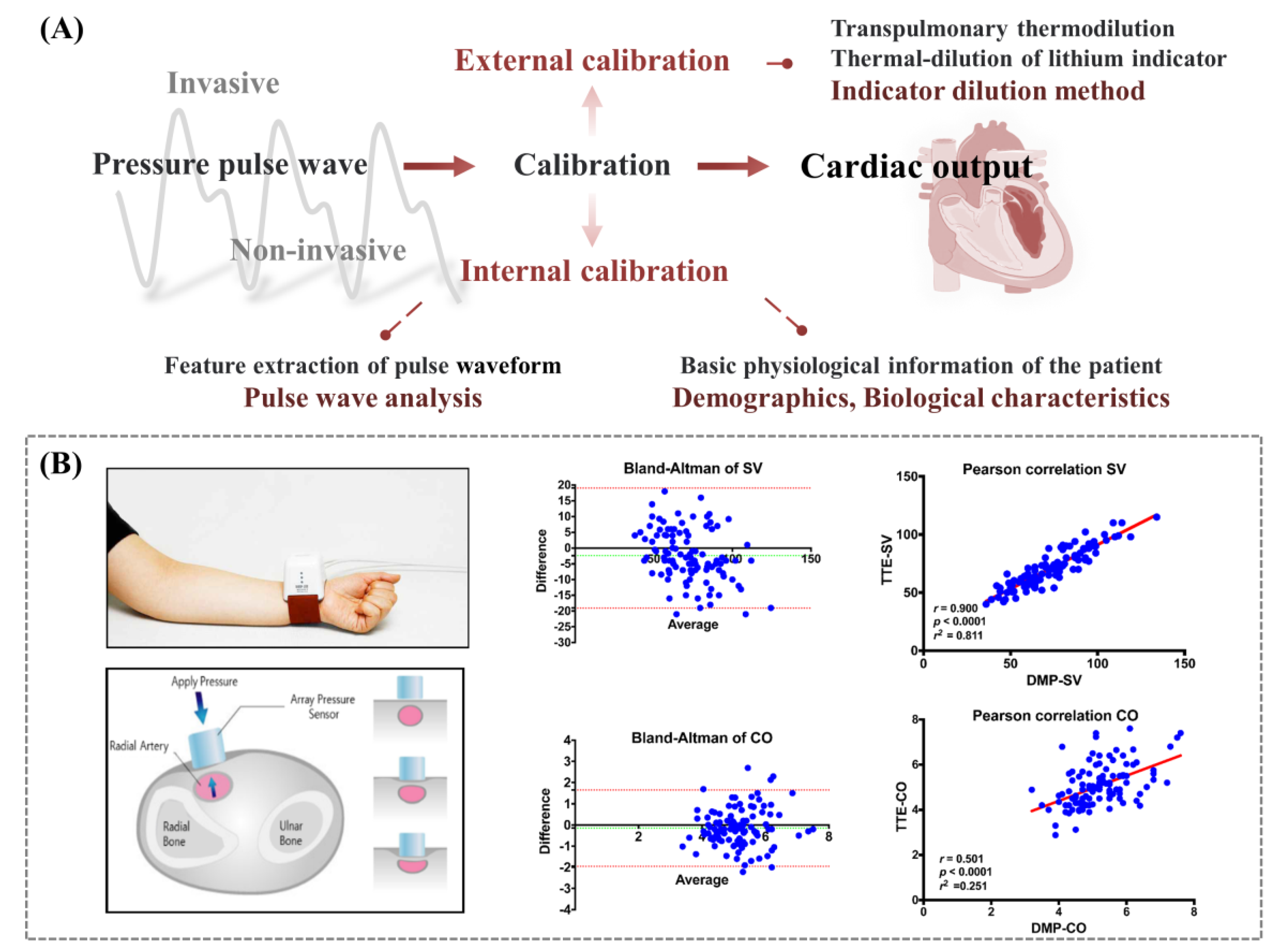 Biosensors 12 00651 g007
