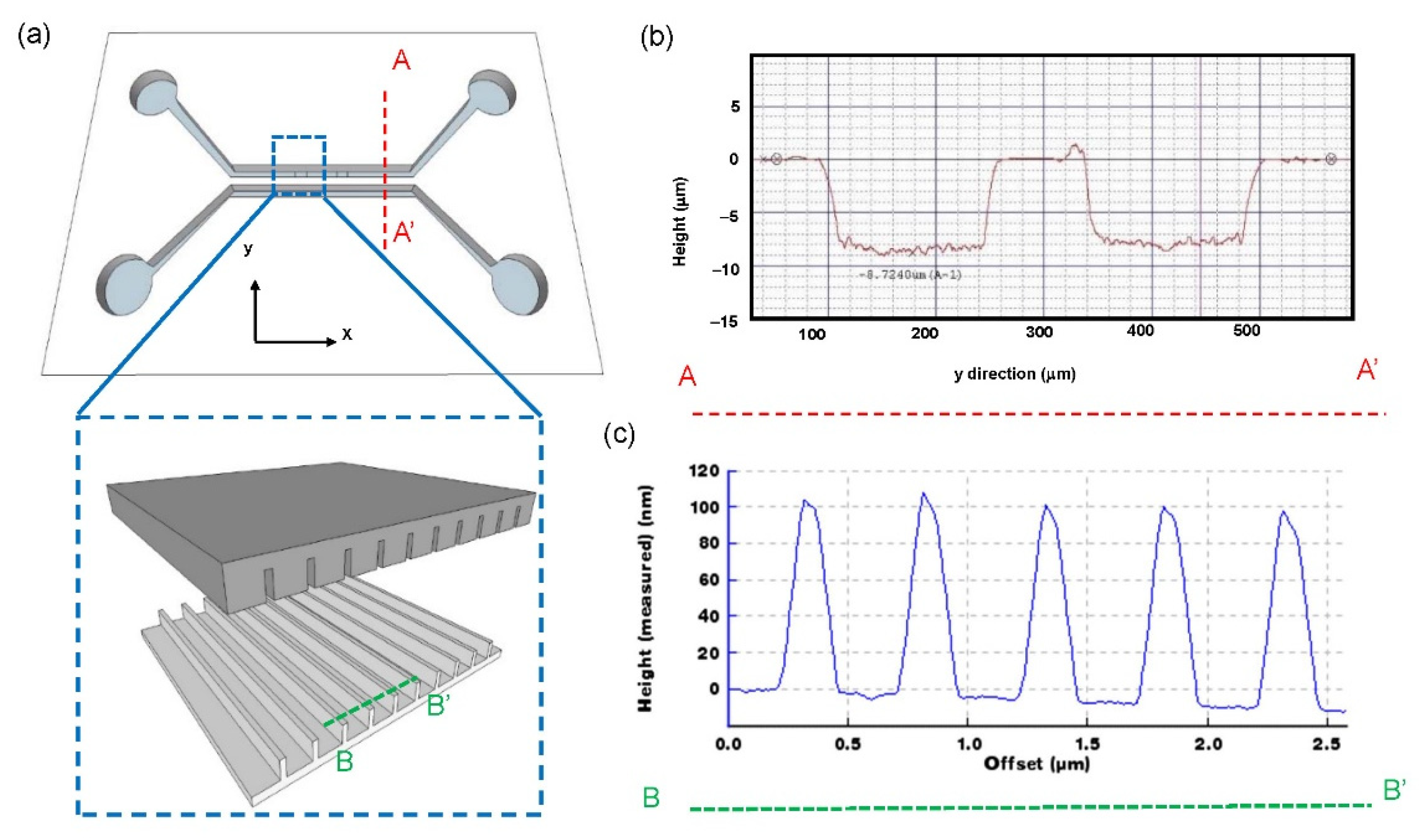 Biosensors 12 00653 g002