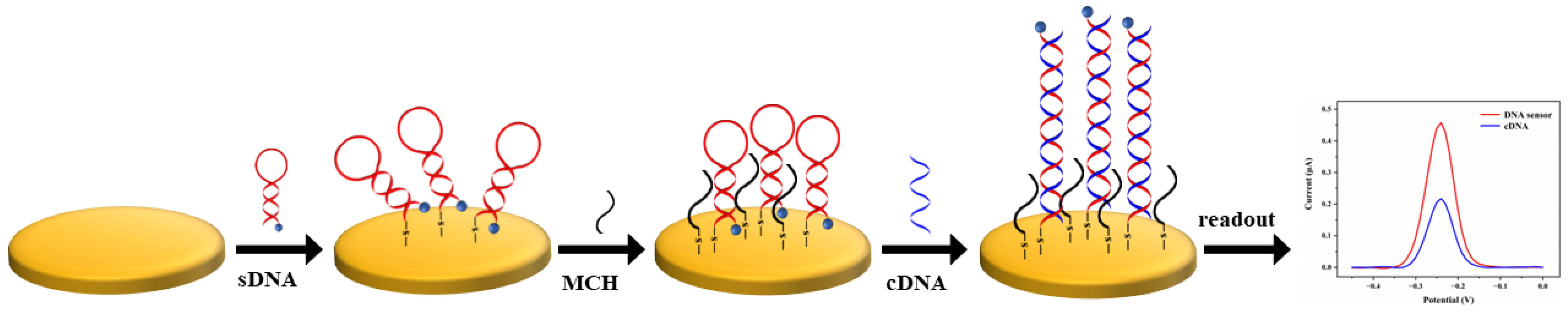 Biosensors 12 00658 g001