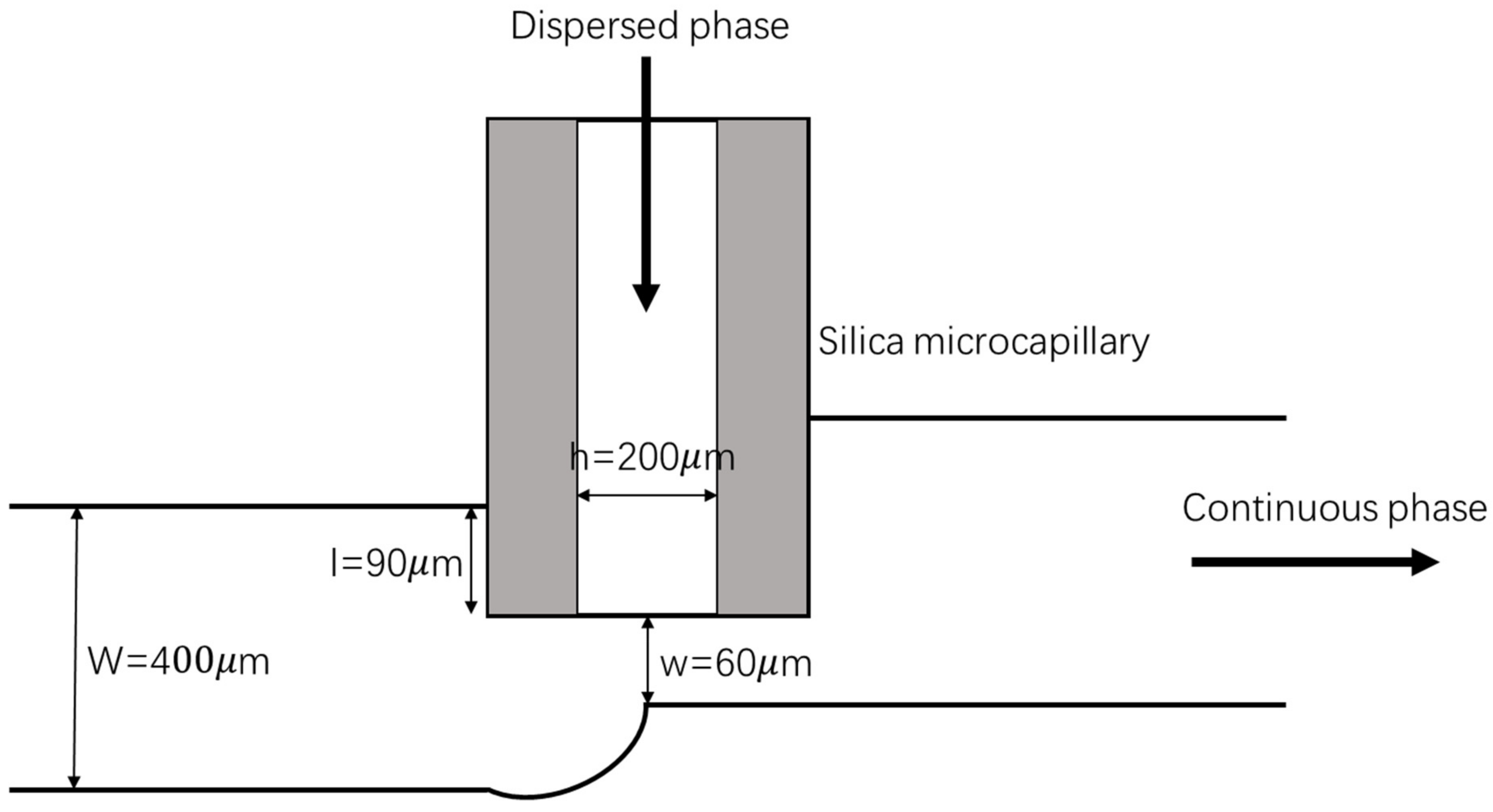Biosensors 12 00659 g002
