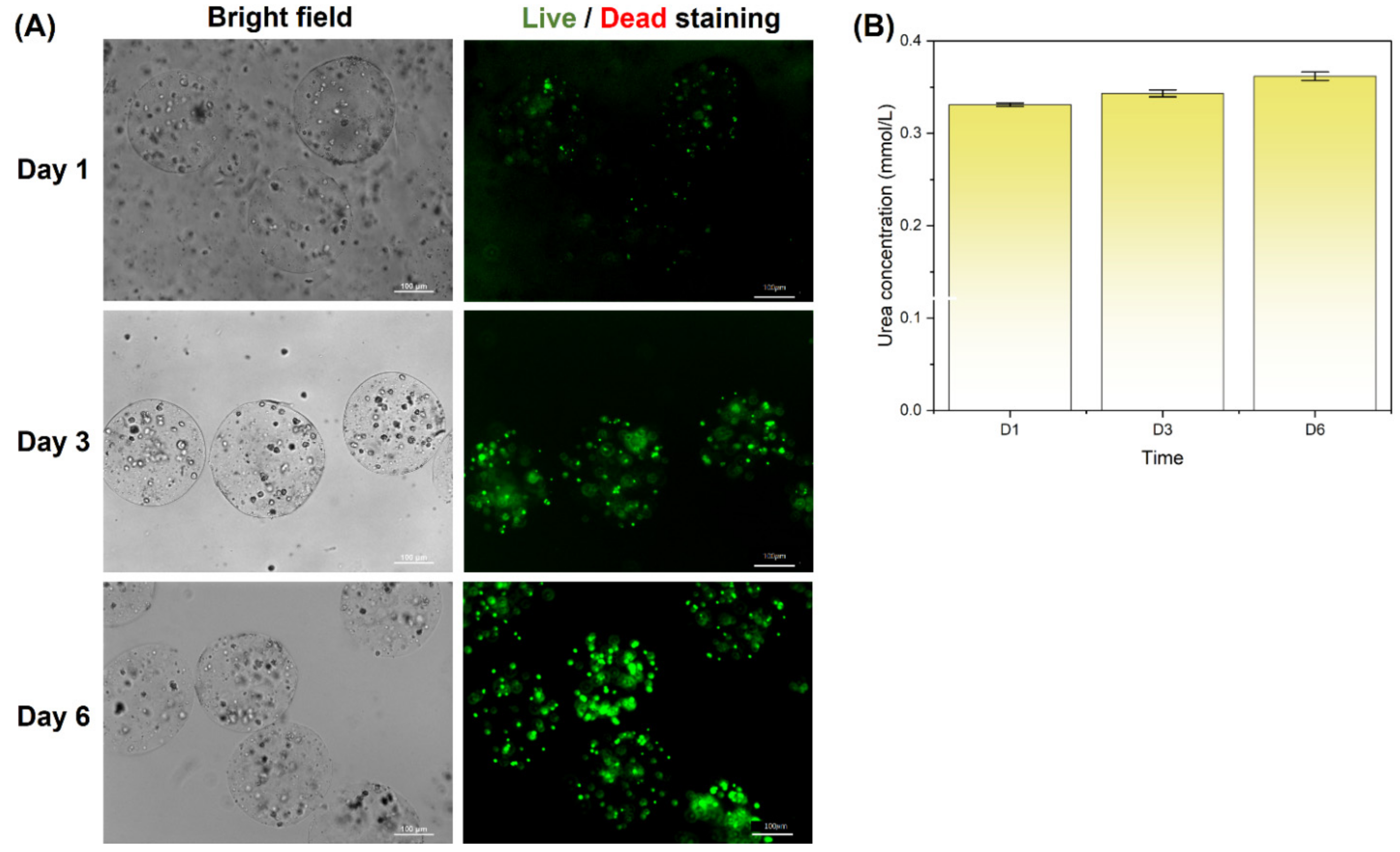 Biosensors 12 00659 g006