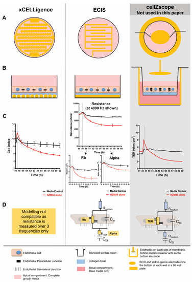 Biosensors 12 00660 g001 550