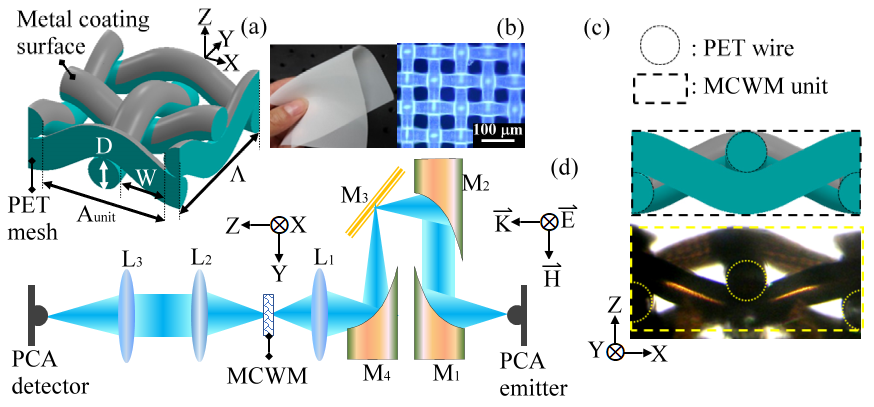 Biosensors 12 00669 g001