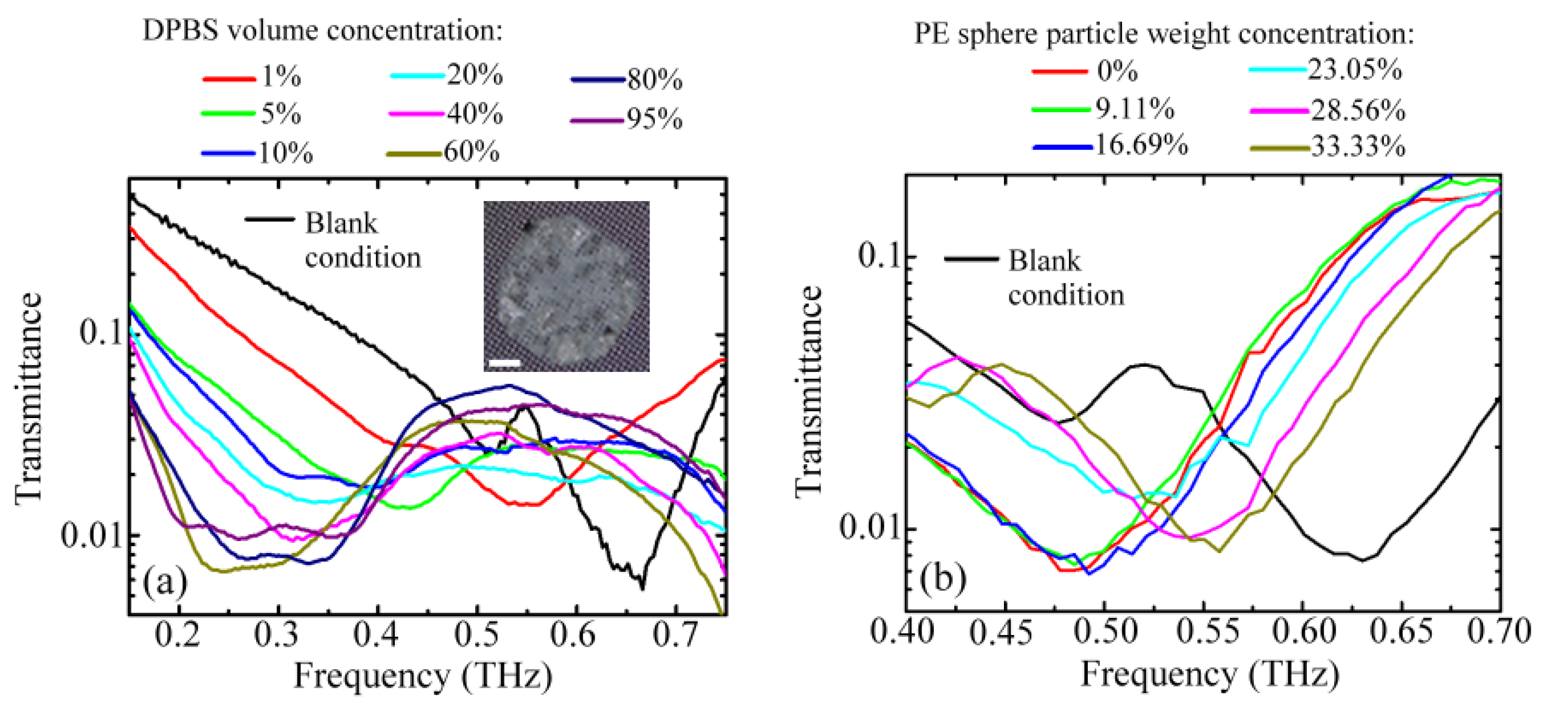 Biosensors 12 00669 g008