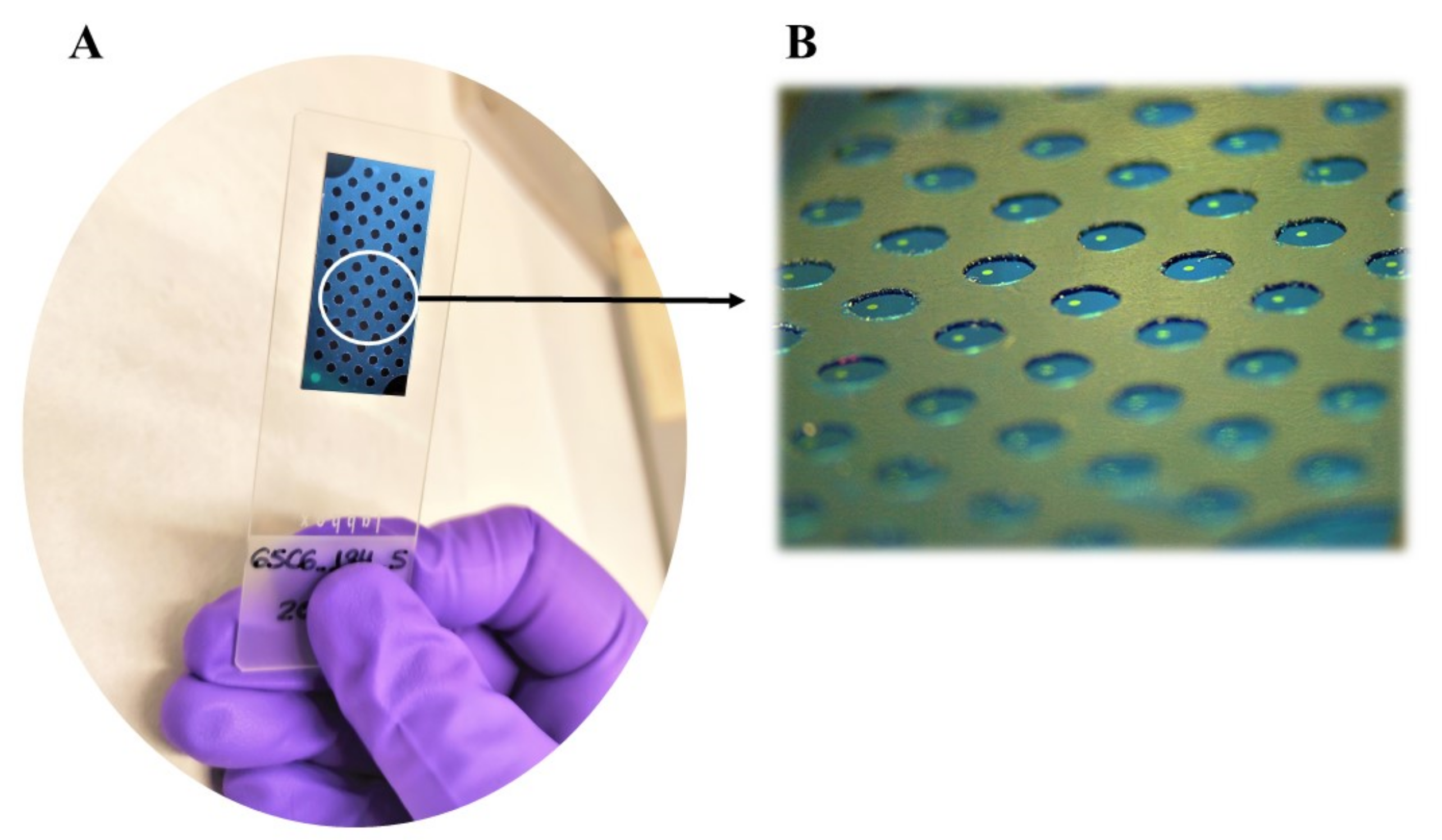 Biosensors 12 00671 g001