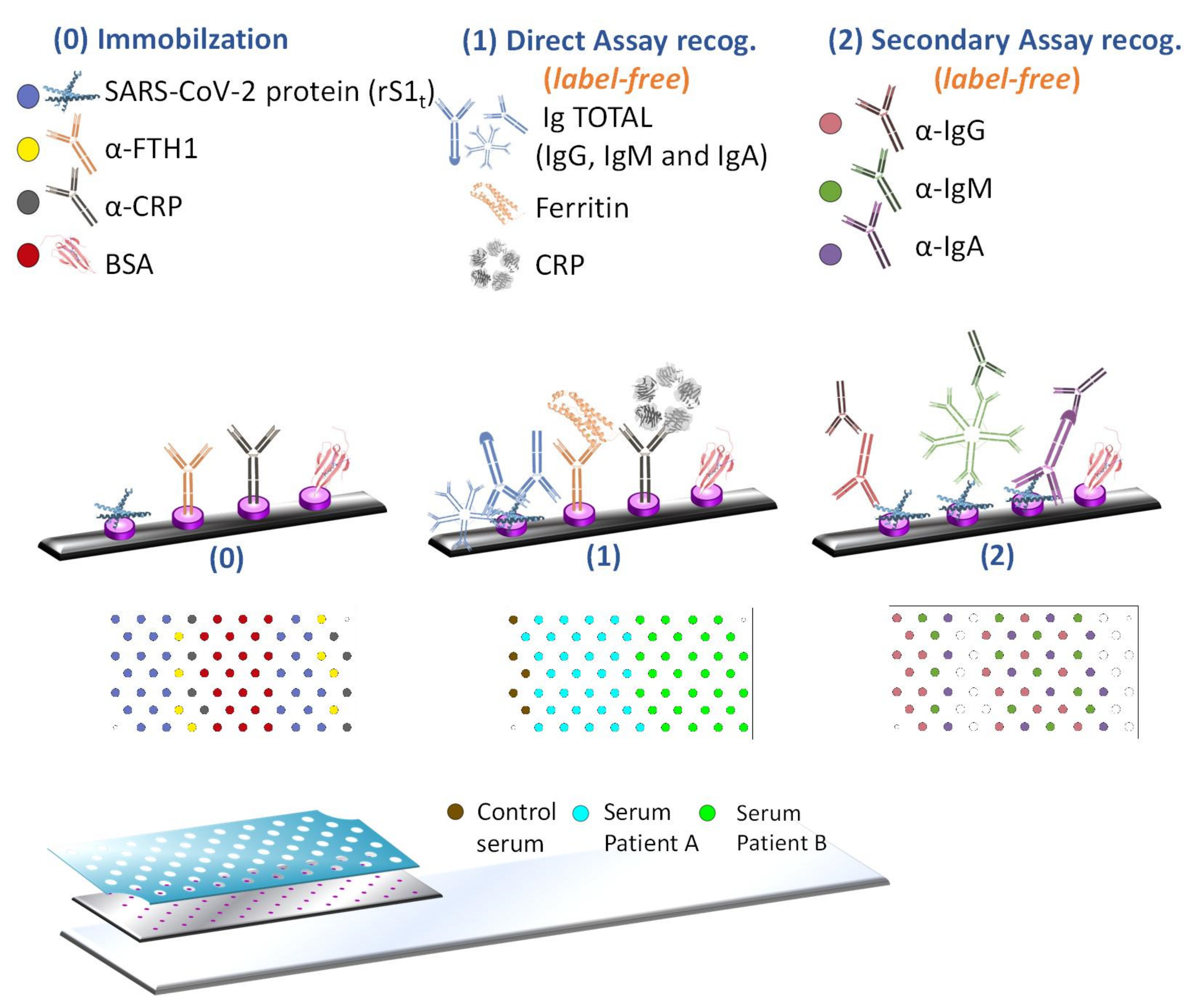 Biosensors 12 00671 g002